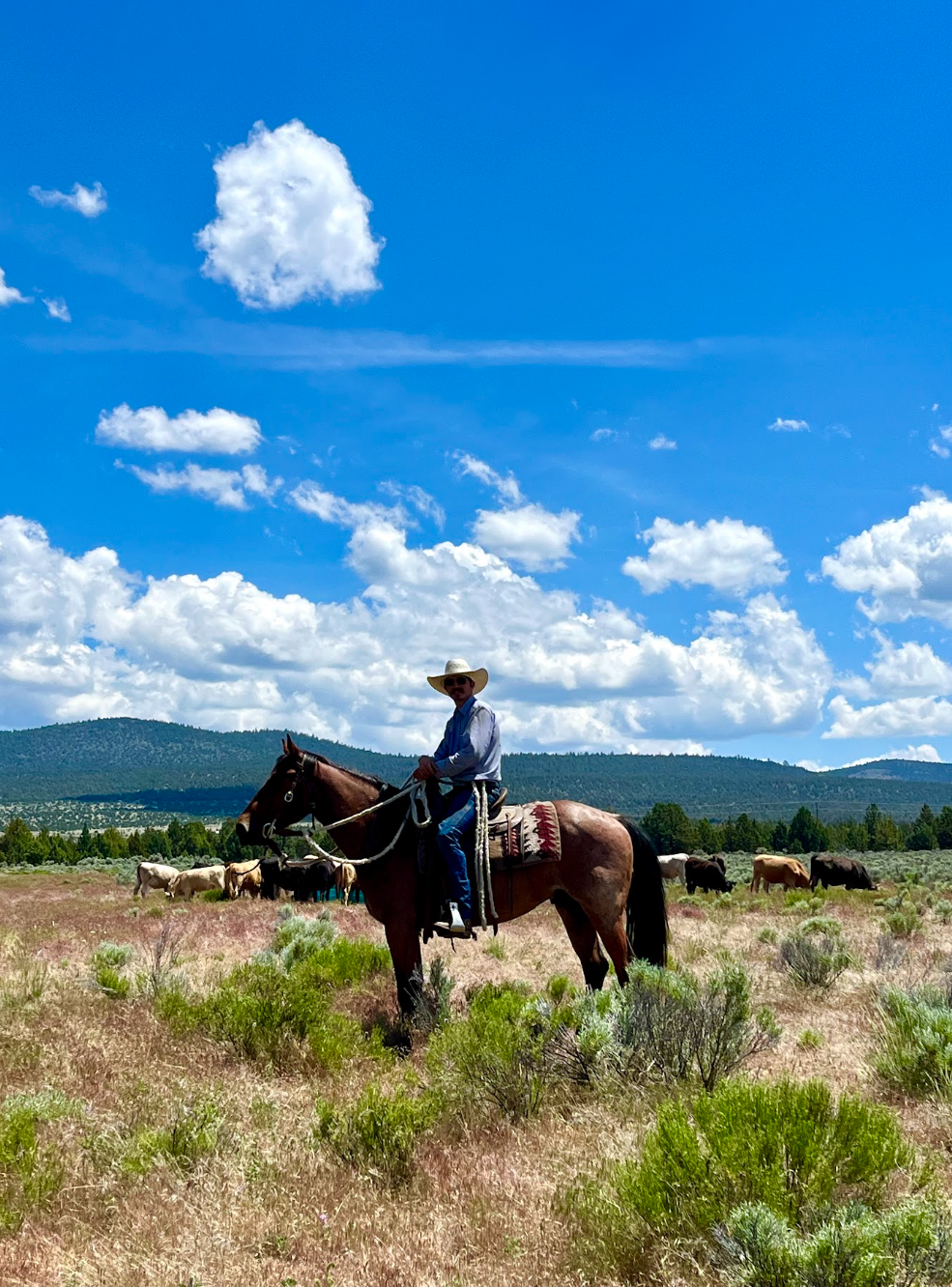 vaquero logan 2.png