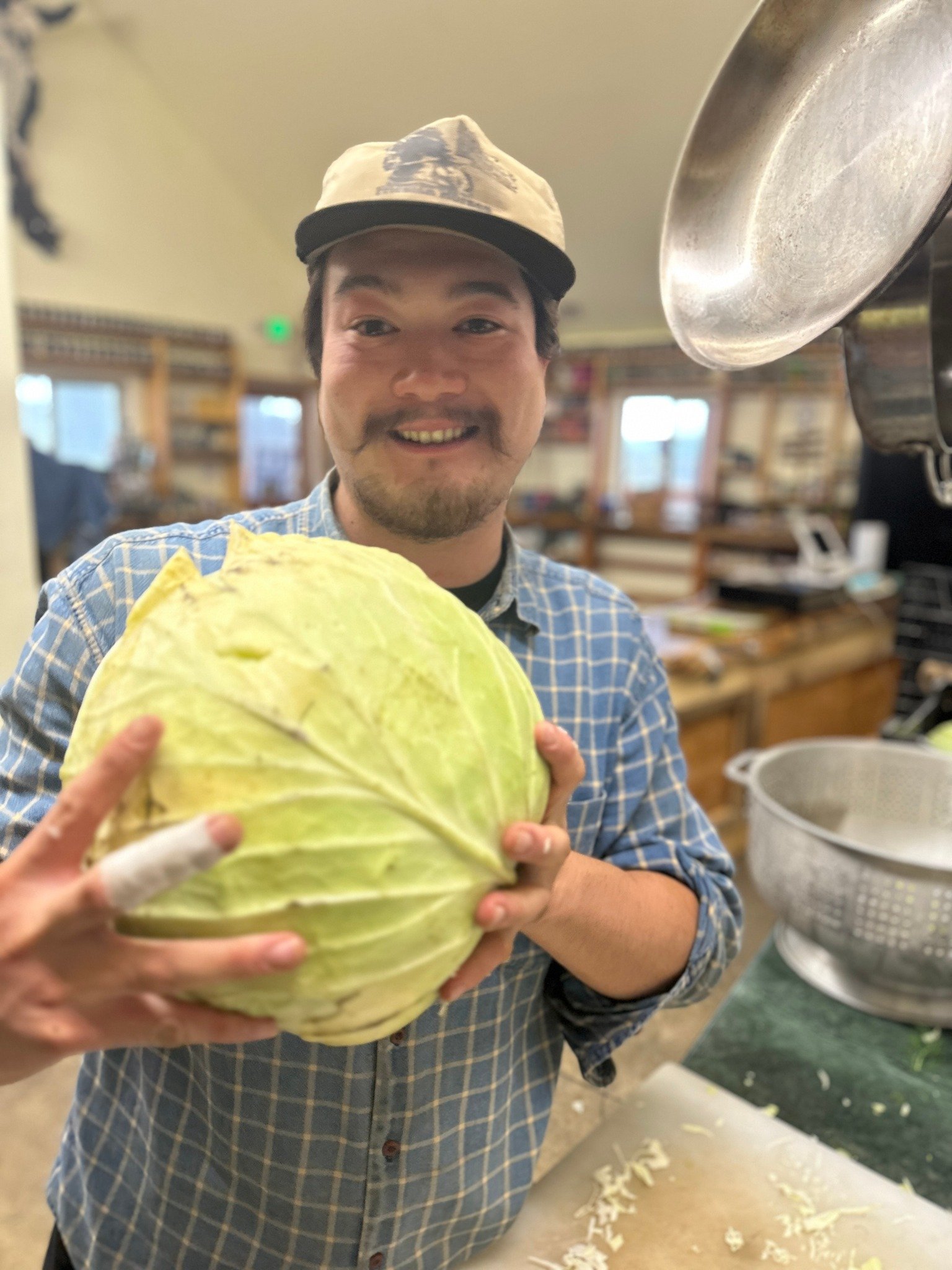 rainshadow cabbage.jpg
