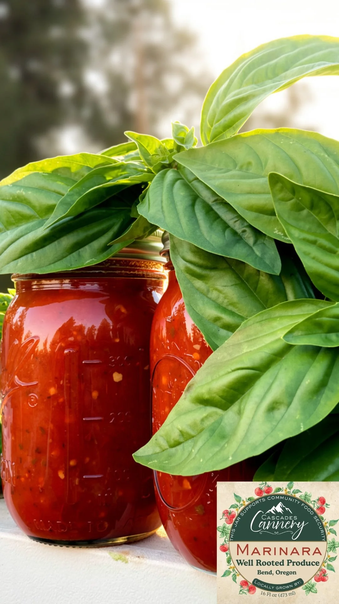 Marinara.jpg