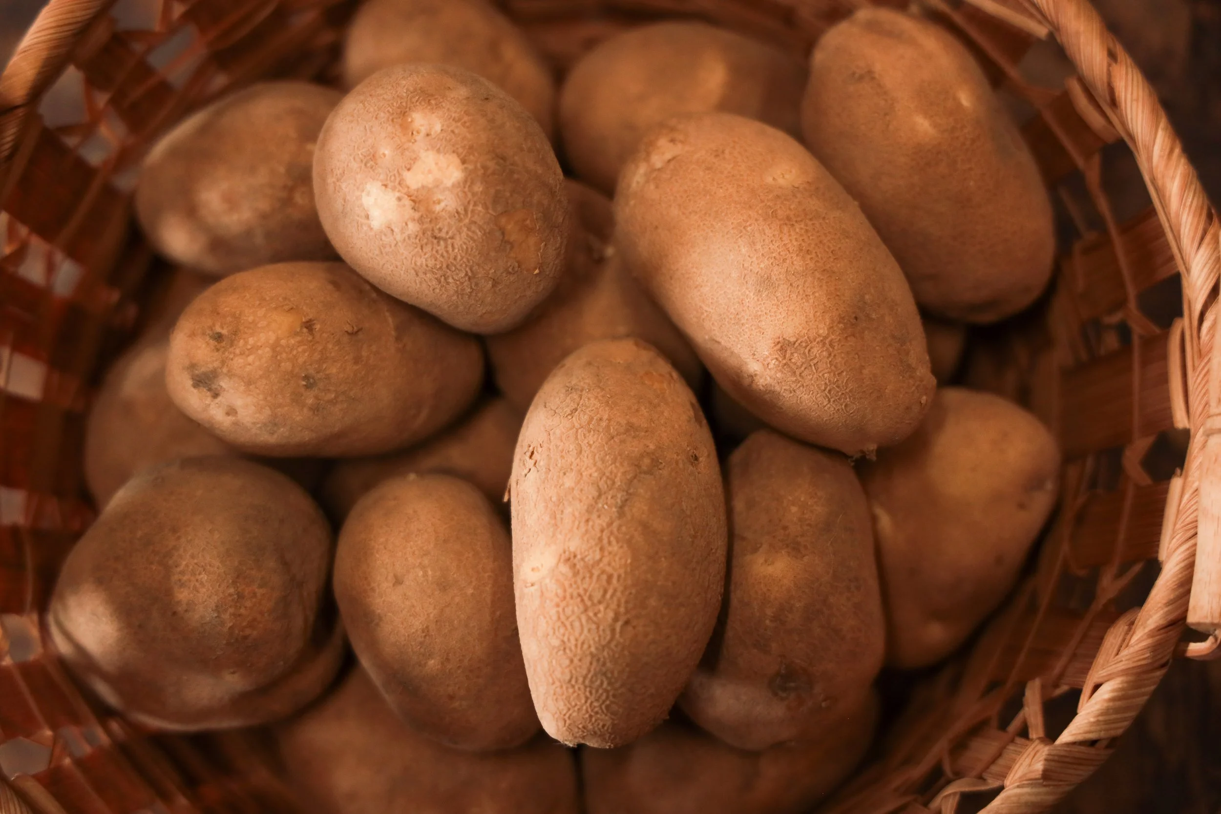 Russet Potatoes (1).jpg
