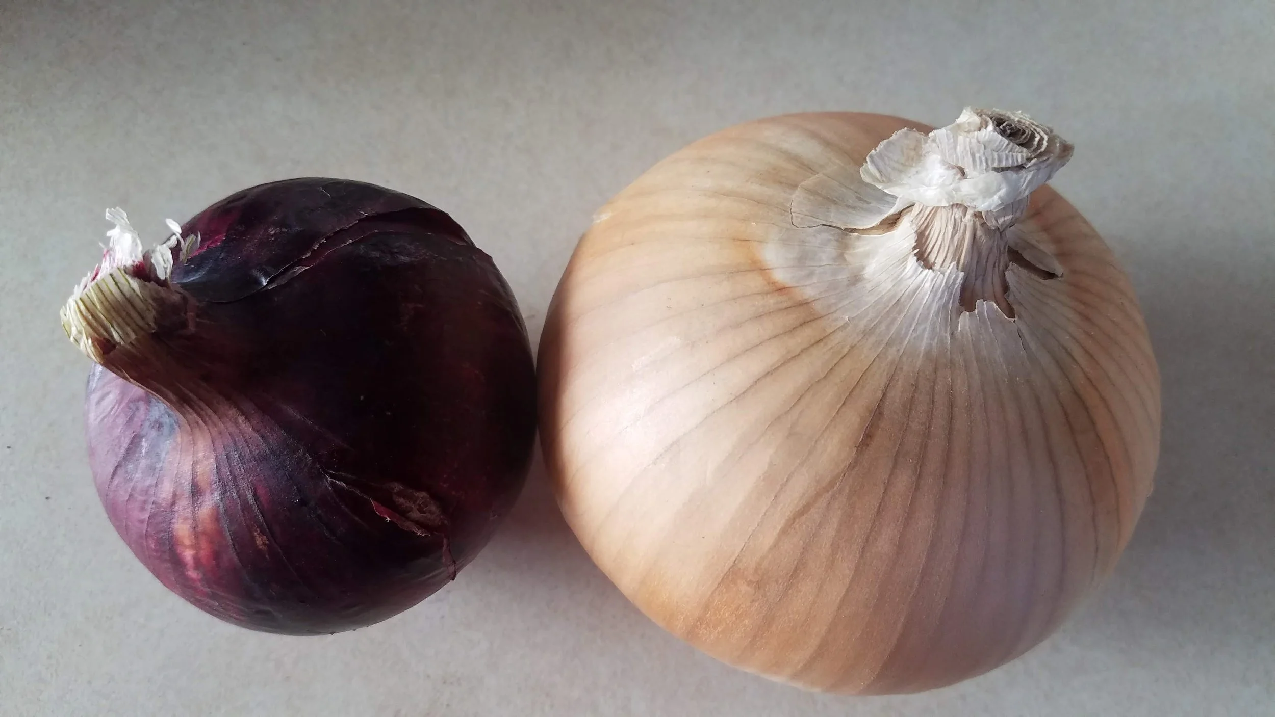 boundless red and yellow onion.jpg