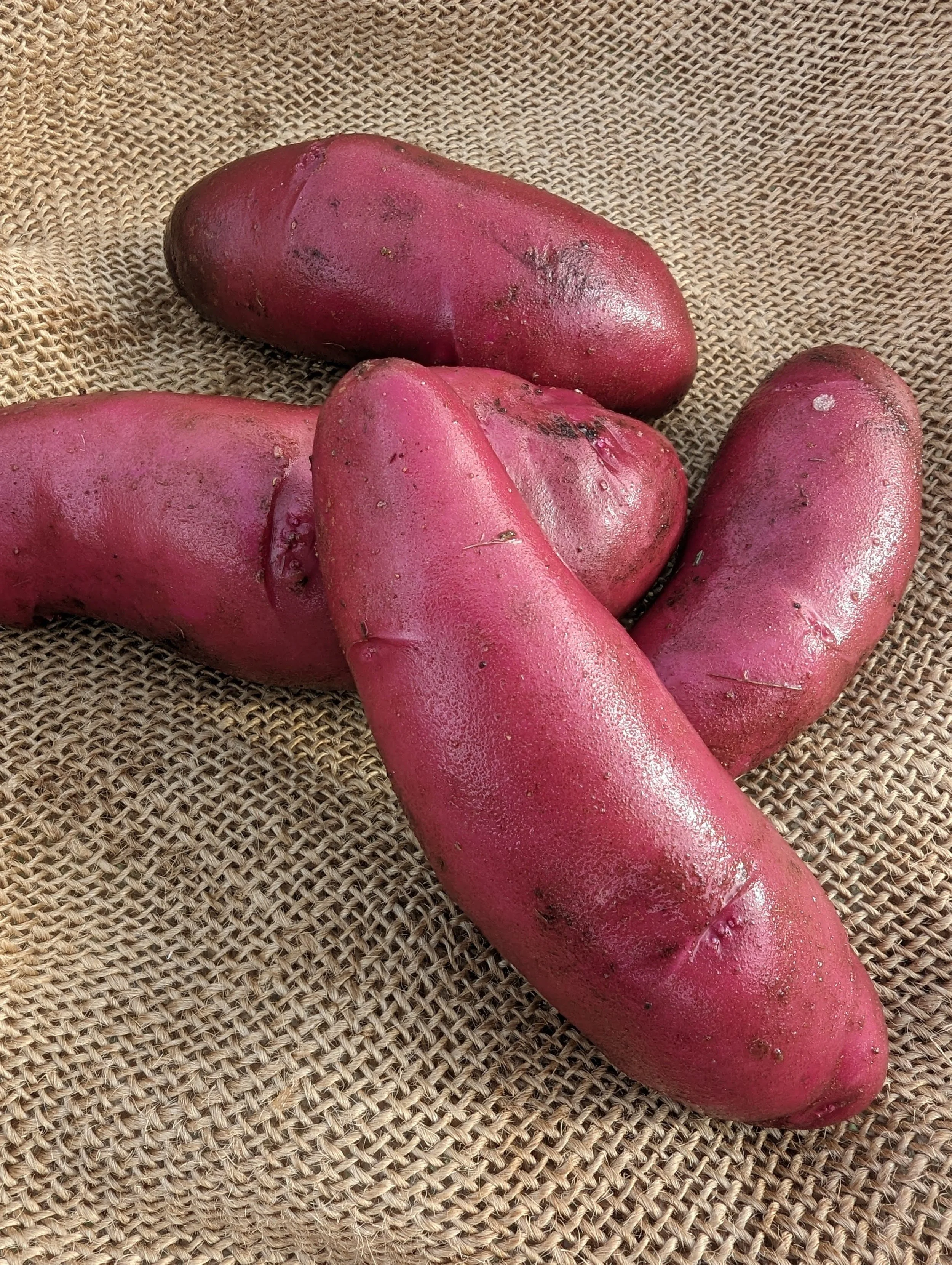 Fingerling.jpg