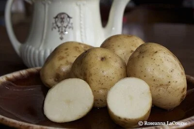 rooper katahdin potatoes.jpg