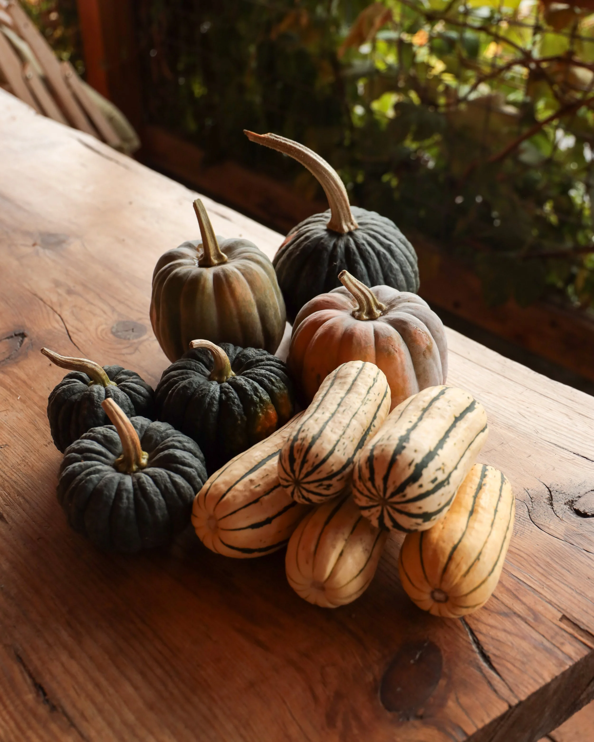 Mixed Squash.jpg