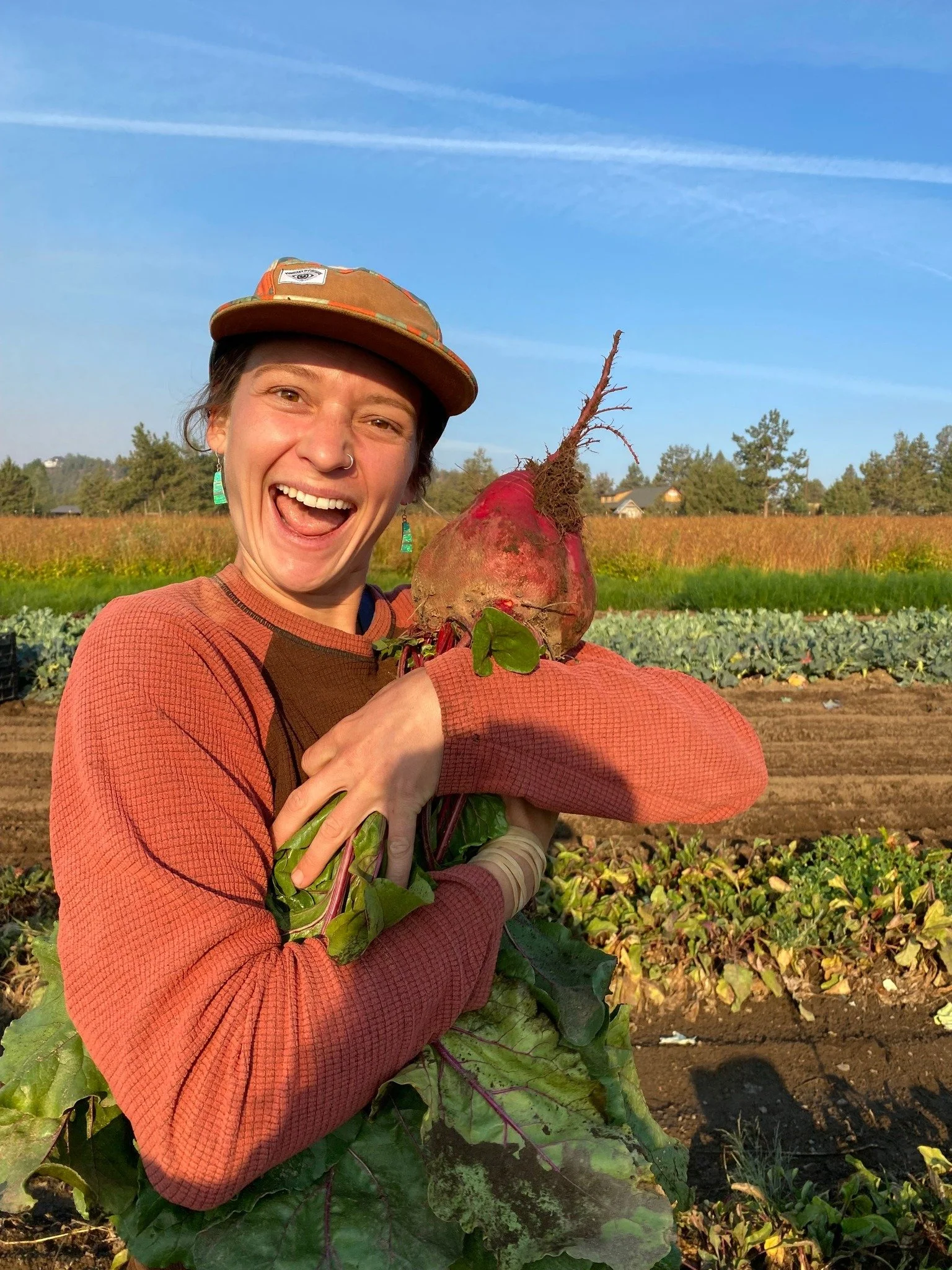 rainshadow beet 2.jpg