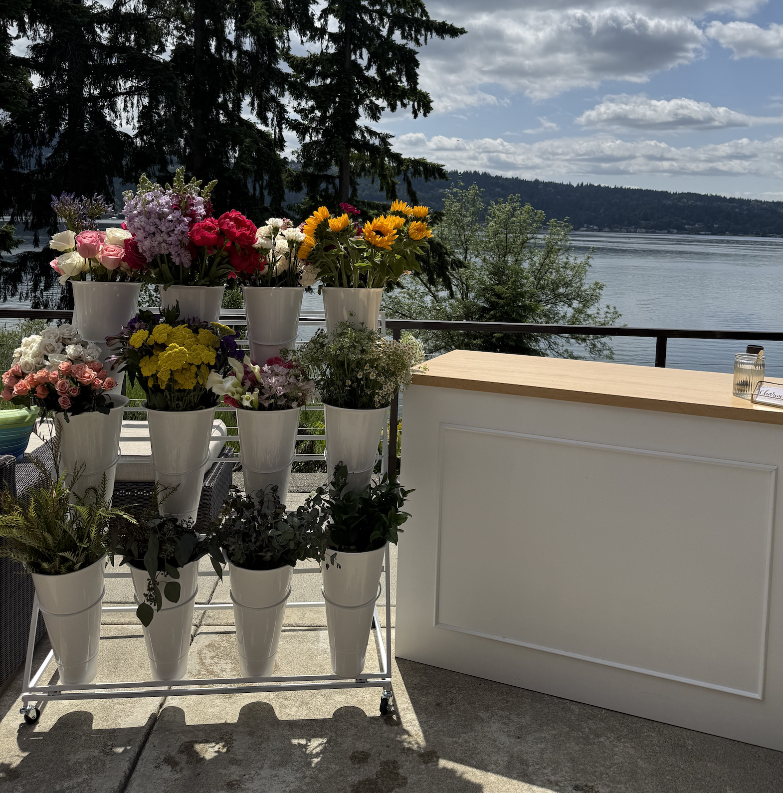 Screenshot 2026-01-17 at 10.54.54 AM.png