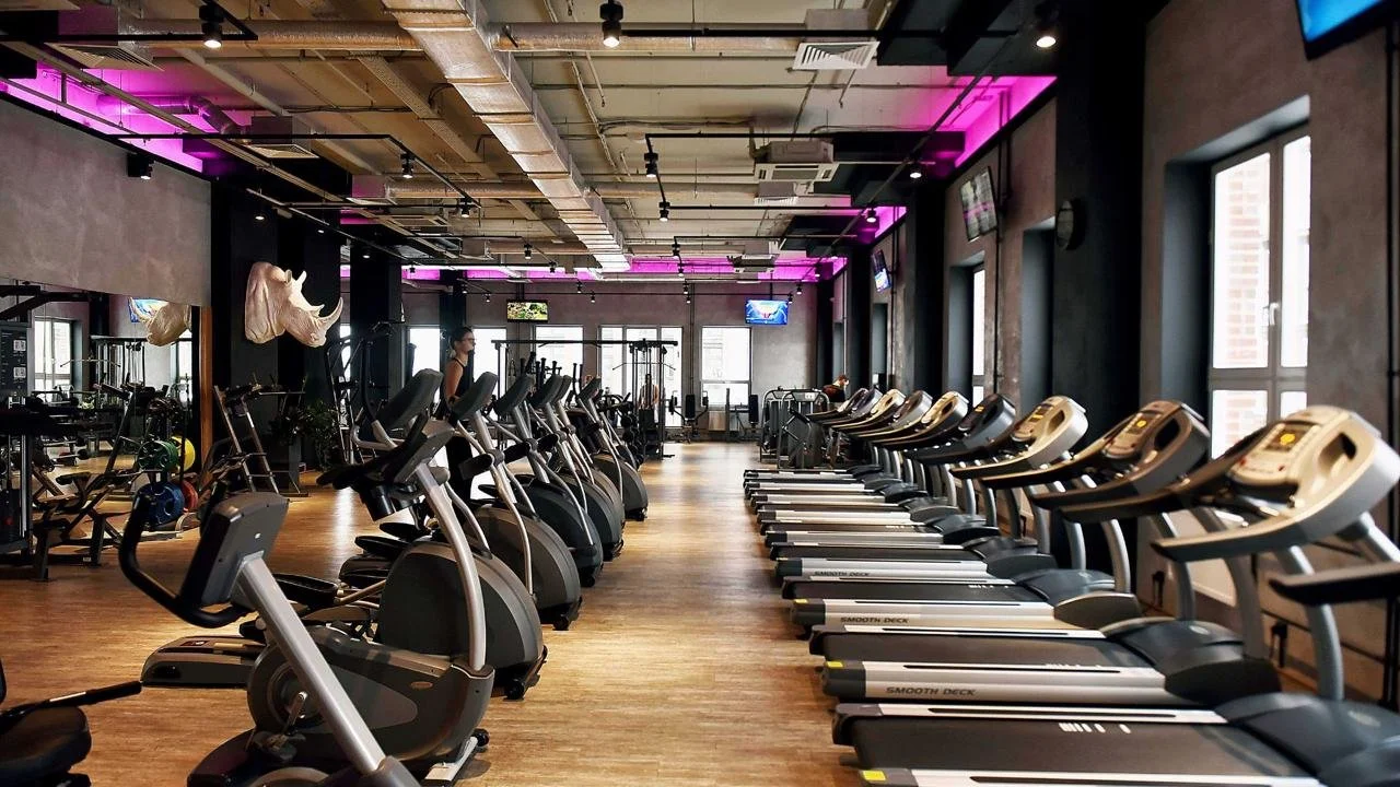 Fitness Spaces