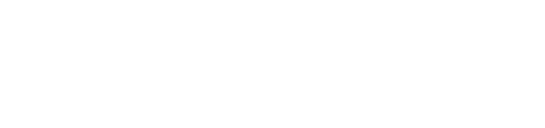 Power Physio logo – mobile NDIS physiotherapy Melbourne
