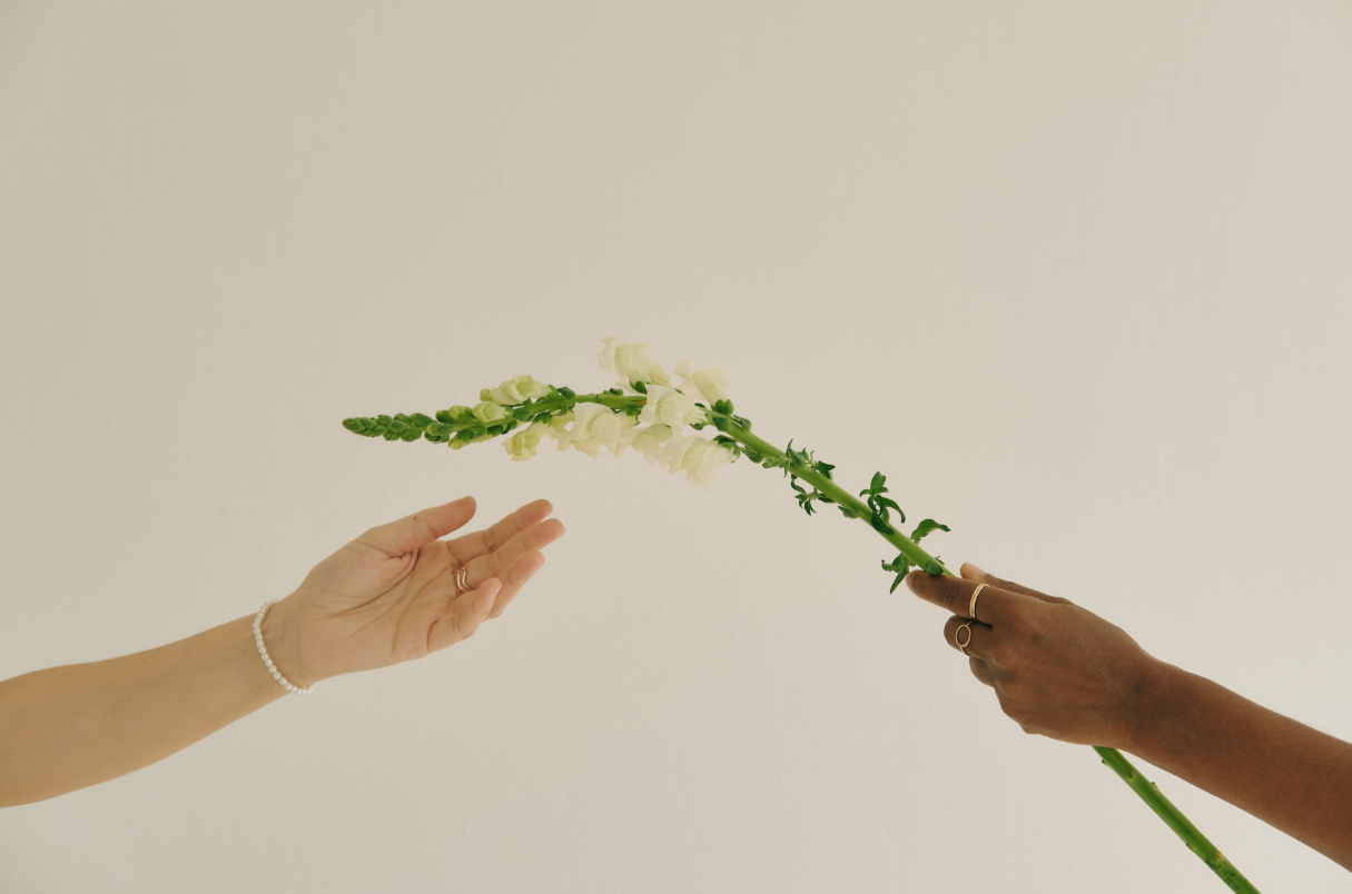 Two hands reaching towards each other, one holding a long white flower and the other reaching out with an open palm.