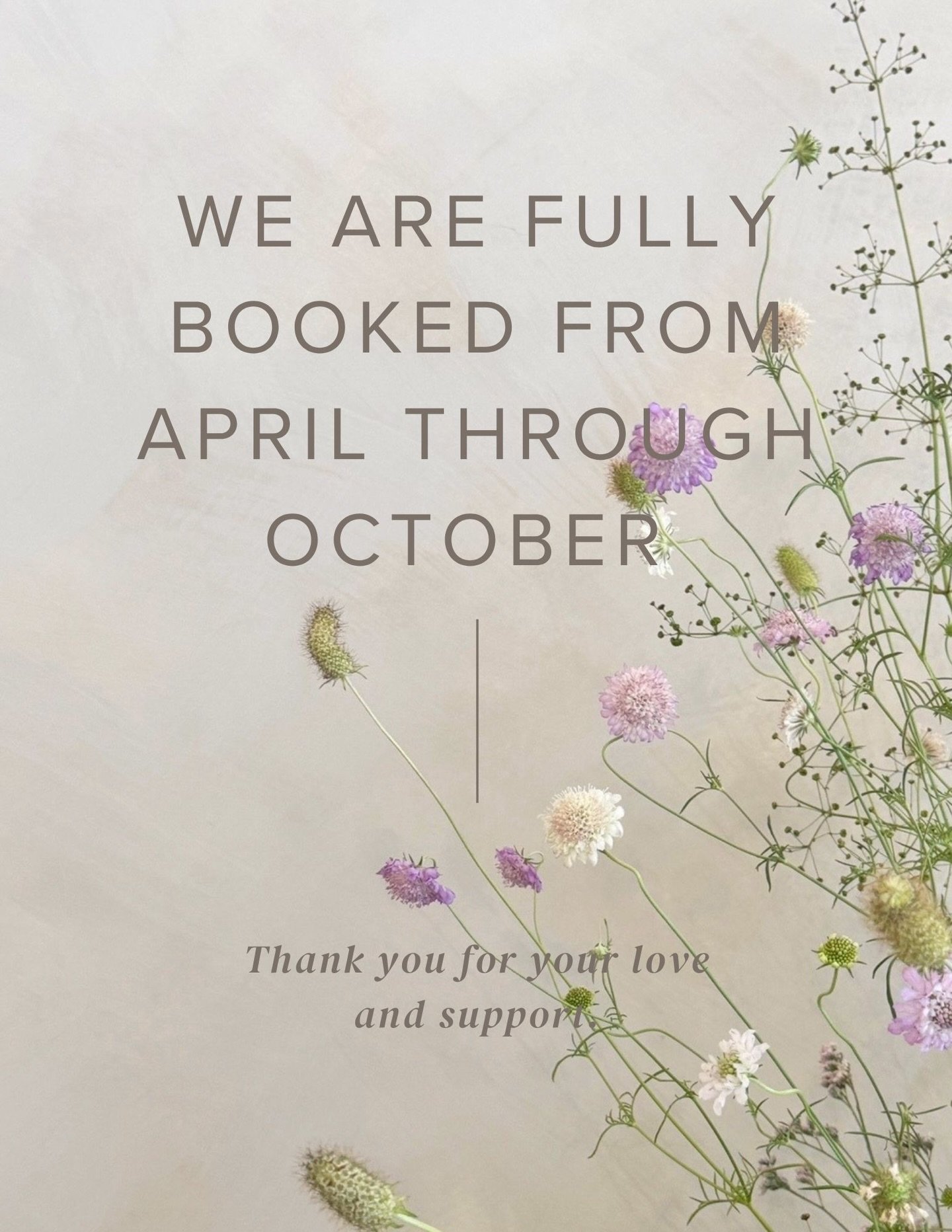 We are so grateful for all the love this season 🤍
With inquiries continuing to come in, we&rsquo;re sorry to share that we are fully booked from April through October this year.
As a small, hands-on studio, we thoughtfully pace our schedule so we ca