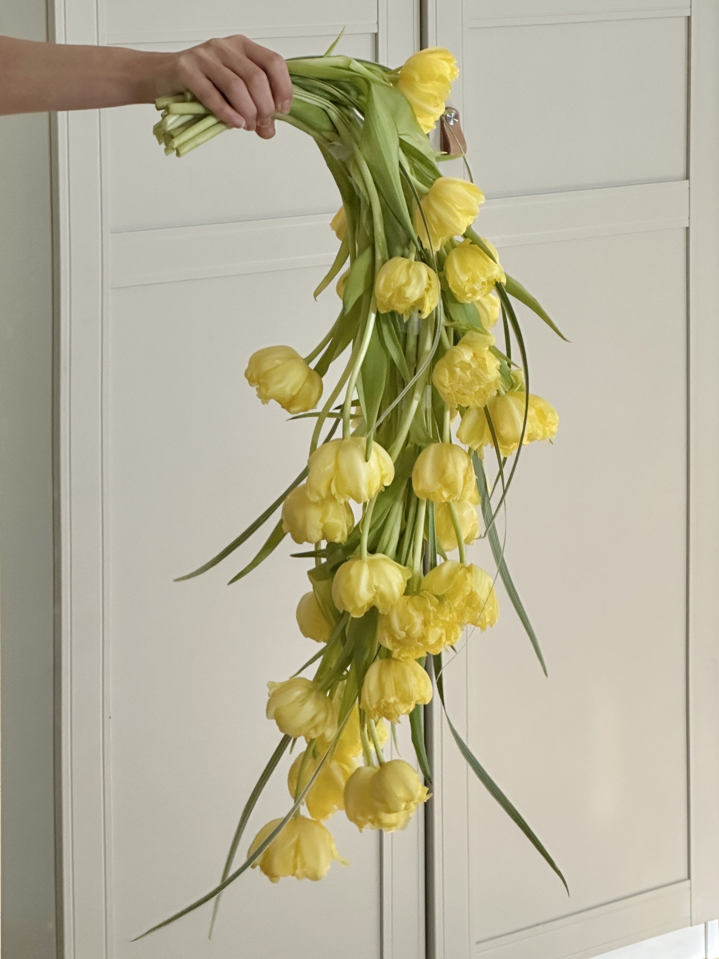 Person holding a bouquet of yellow tulips.