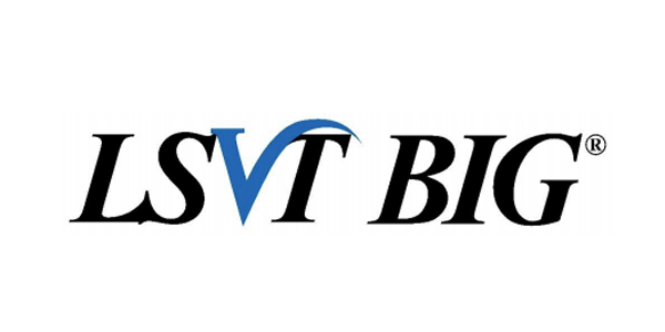 Logo with the text 'LST BIG' in black with a blue 'V' in the center.