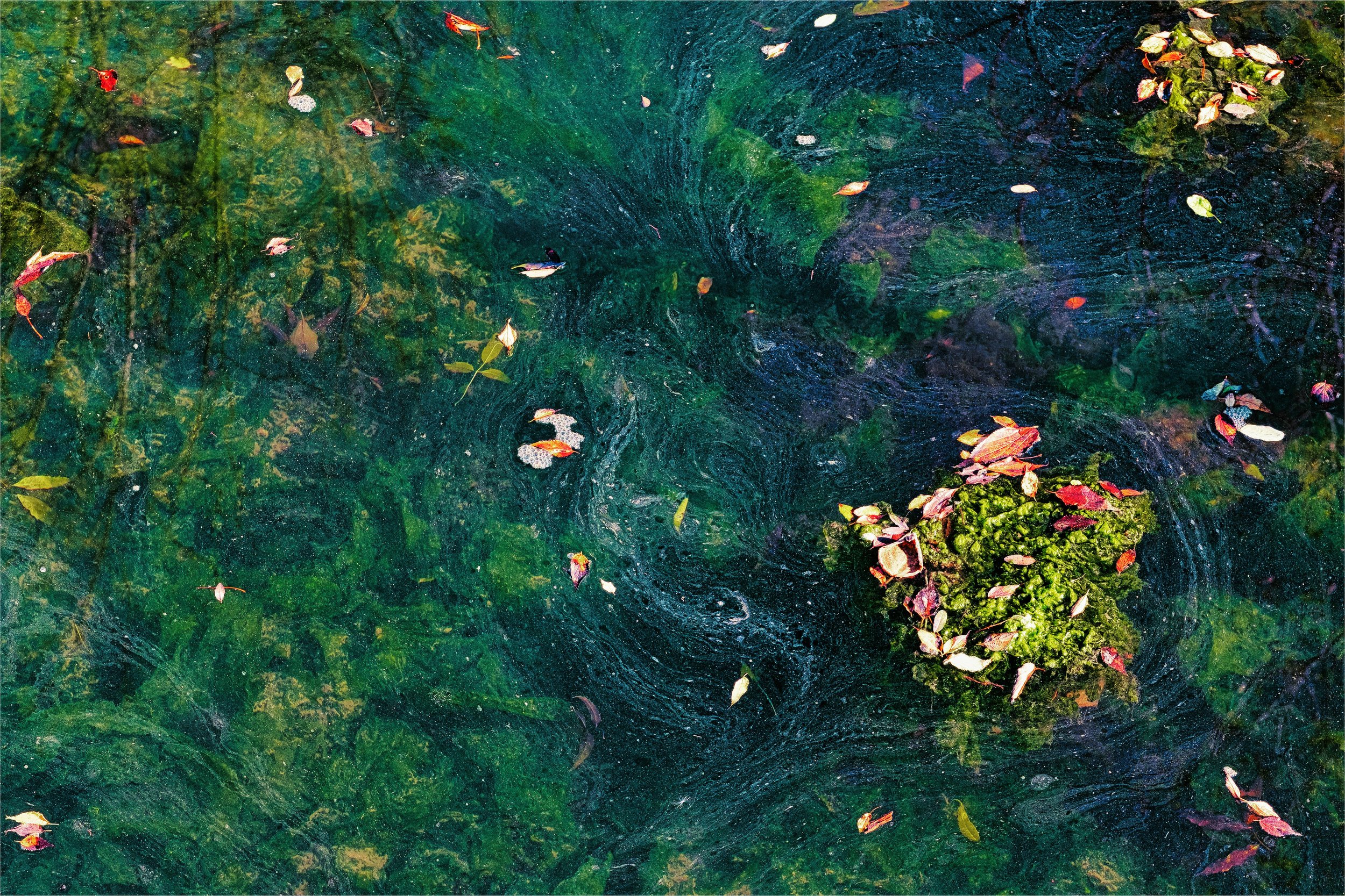 Leaves on a stream.jpg