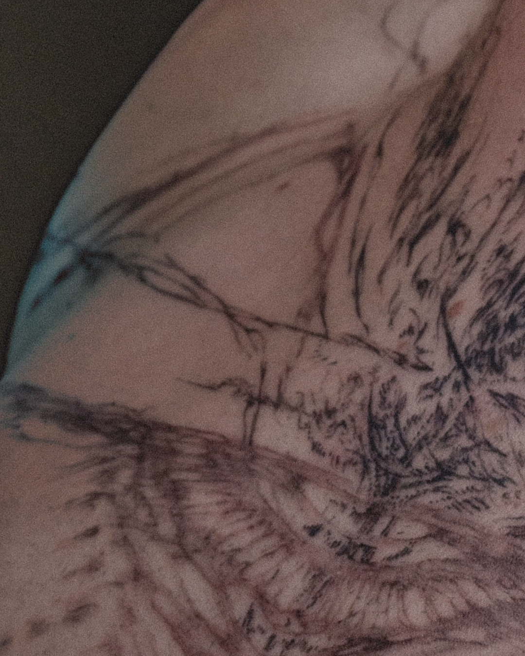 A close-up image of a tattooed arm with intricate, dark line art designs.