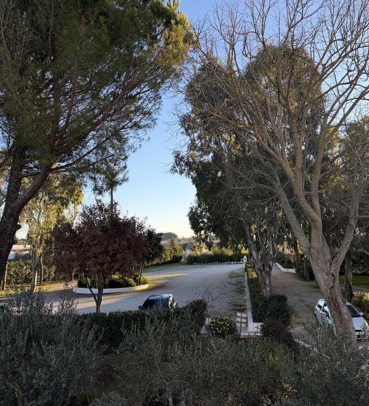 parkplatz mit viel grünflache