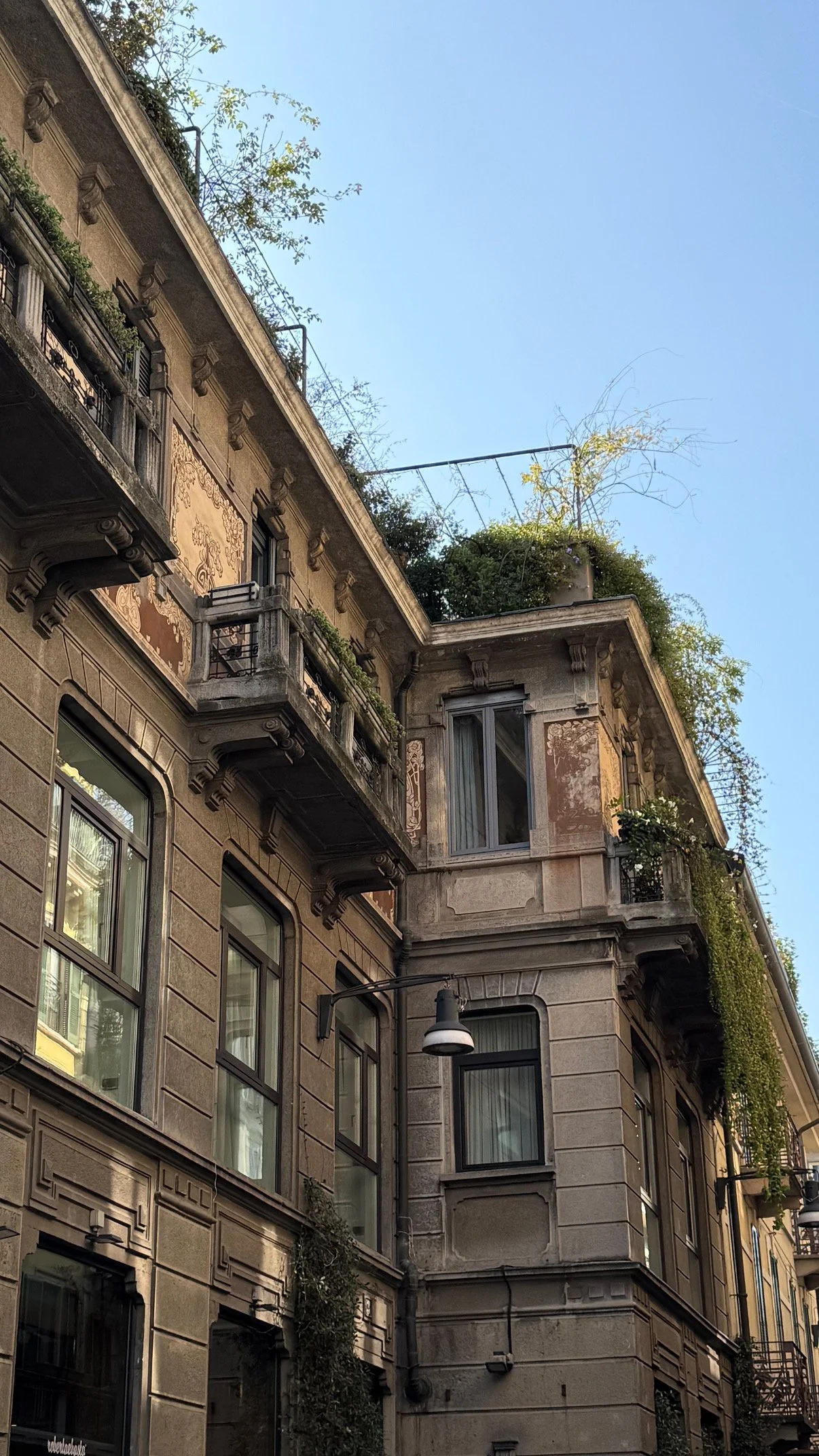 Why Your Environment Shapes Your Aesthetic (More Than You Realize)