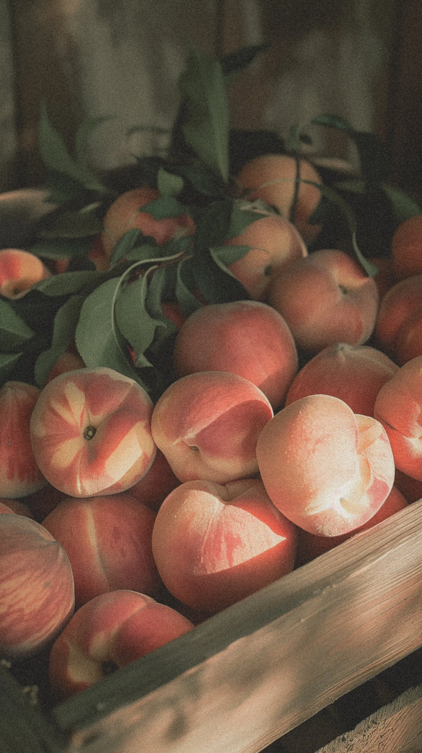 Close-up of a crate filled with freshly picked peaches, illustrating nutrition content created with virtual assistant support for SEO and digital marketing.