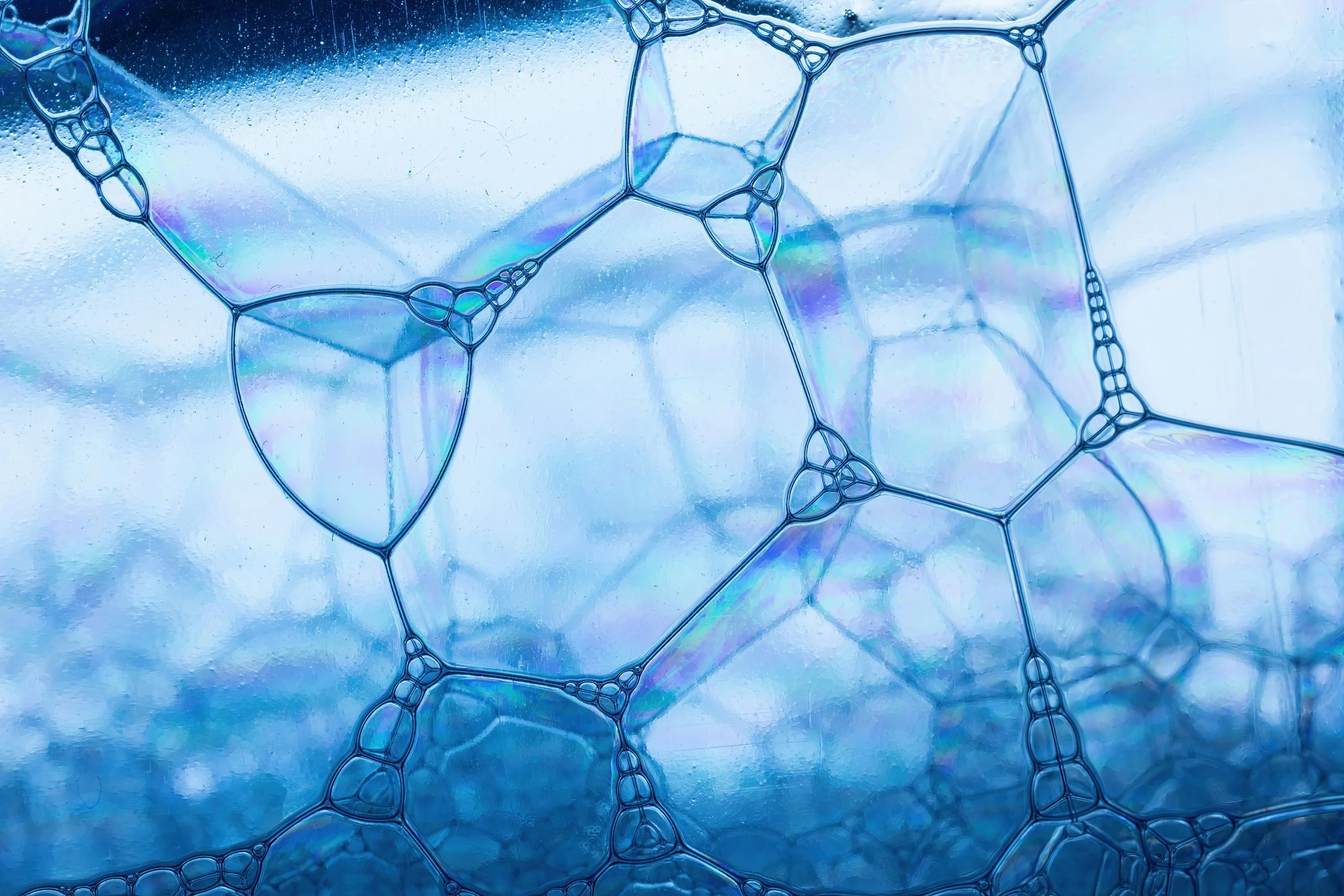 Interconnected blue-toned bubble cells catching light, echoing the structural clarity SEO work brings underneath the surface