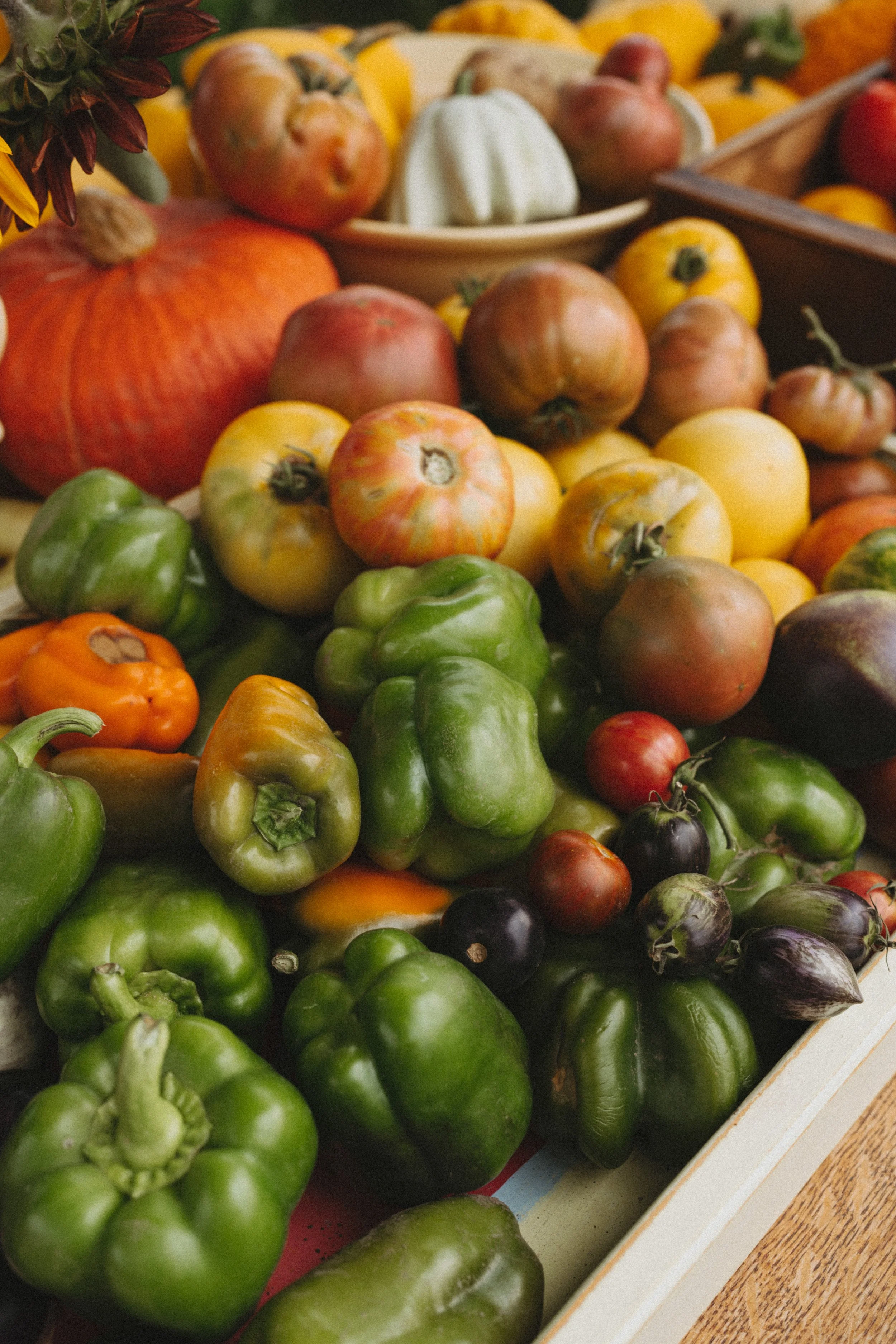 Fresh vegetables such as green bell peppers, onions, and pumpkin in a produce crate, featured on a virtual assistant website offering content marketing and digital product support for dietitians.