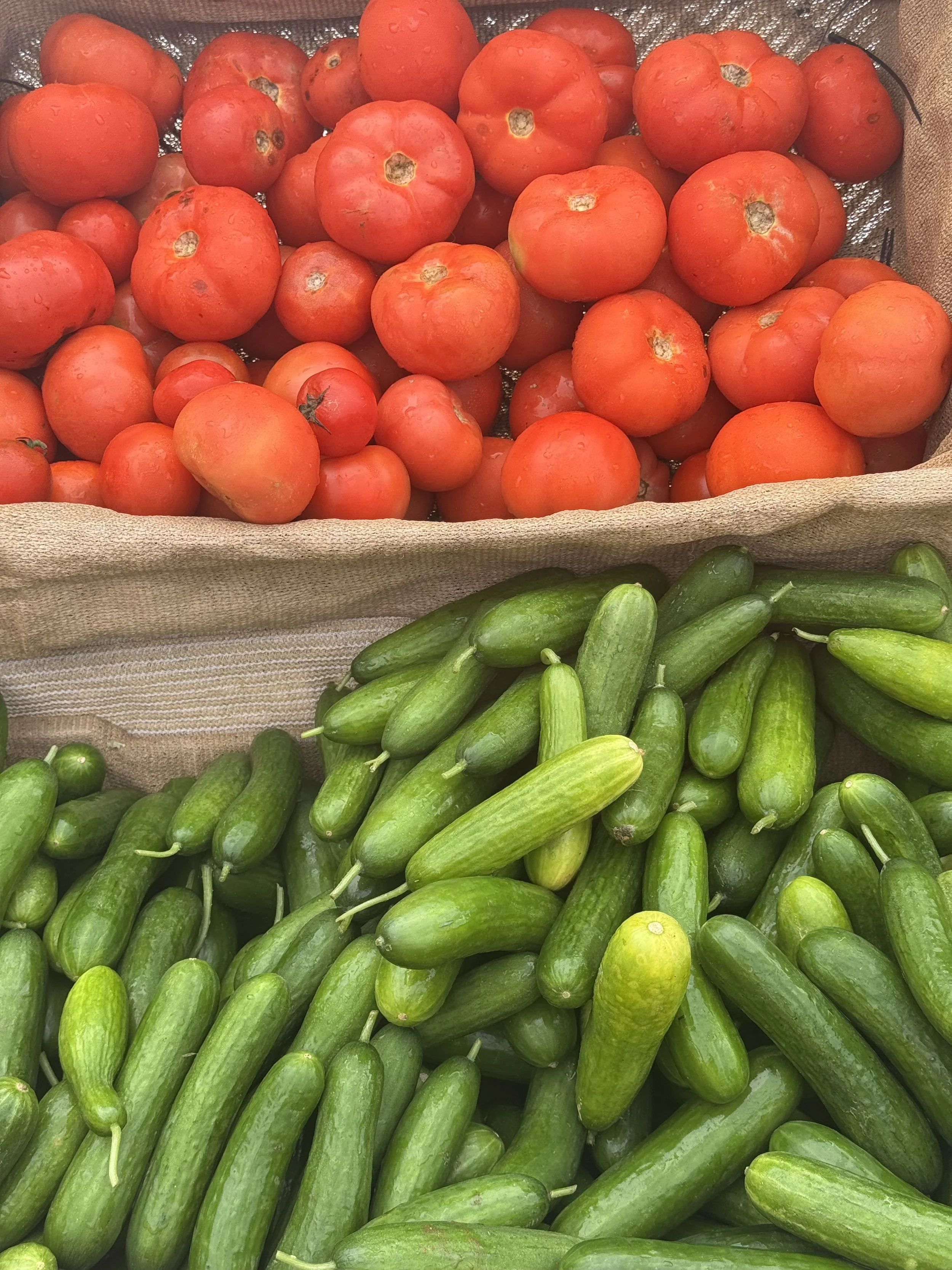 Fresh tomatoes in a basket placed above a basket of cucumbers, symbolizing healthy content and branding for nutritionists using virtual assistants for content creation and product launches.