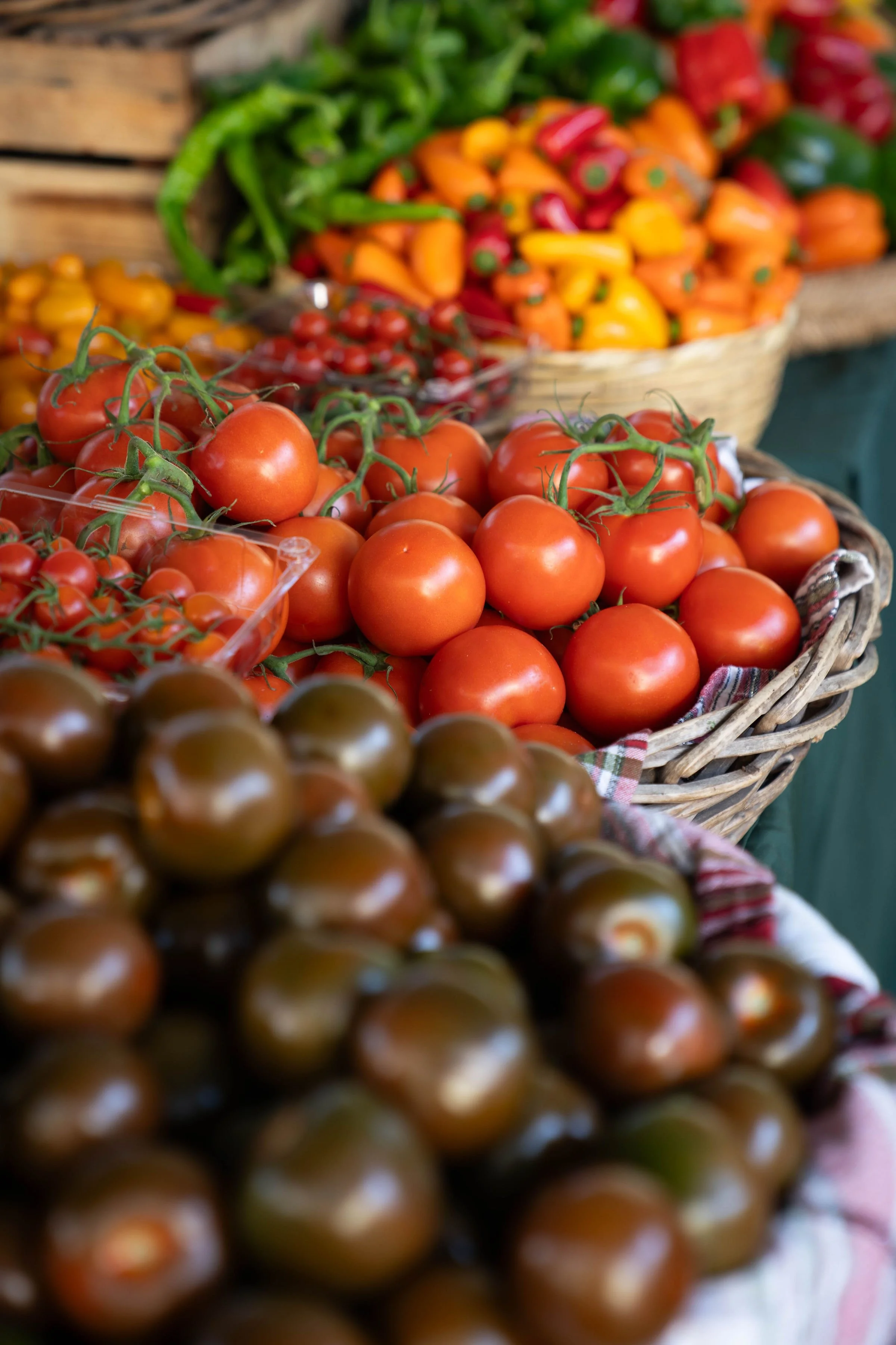 Fresh vegetables such as green bell peppers, onions, and pumpkin in a produce crate, featured on a virtual assistant website offering content marketing and digital product support for dietitians.