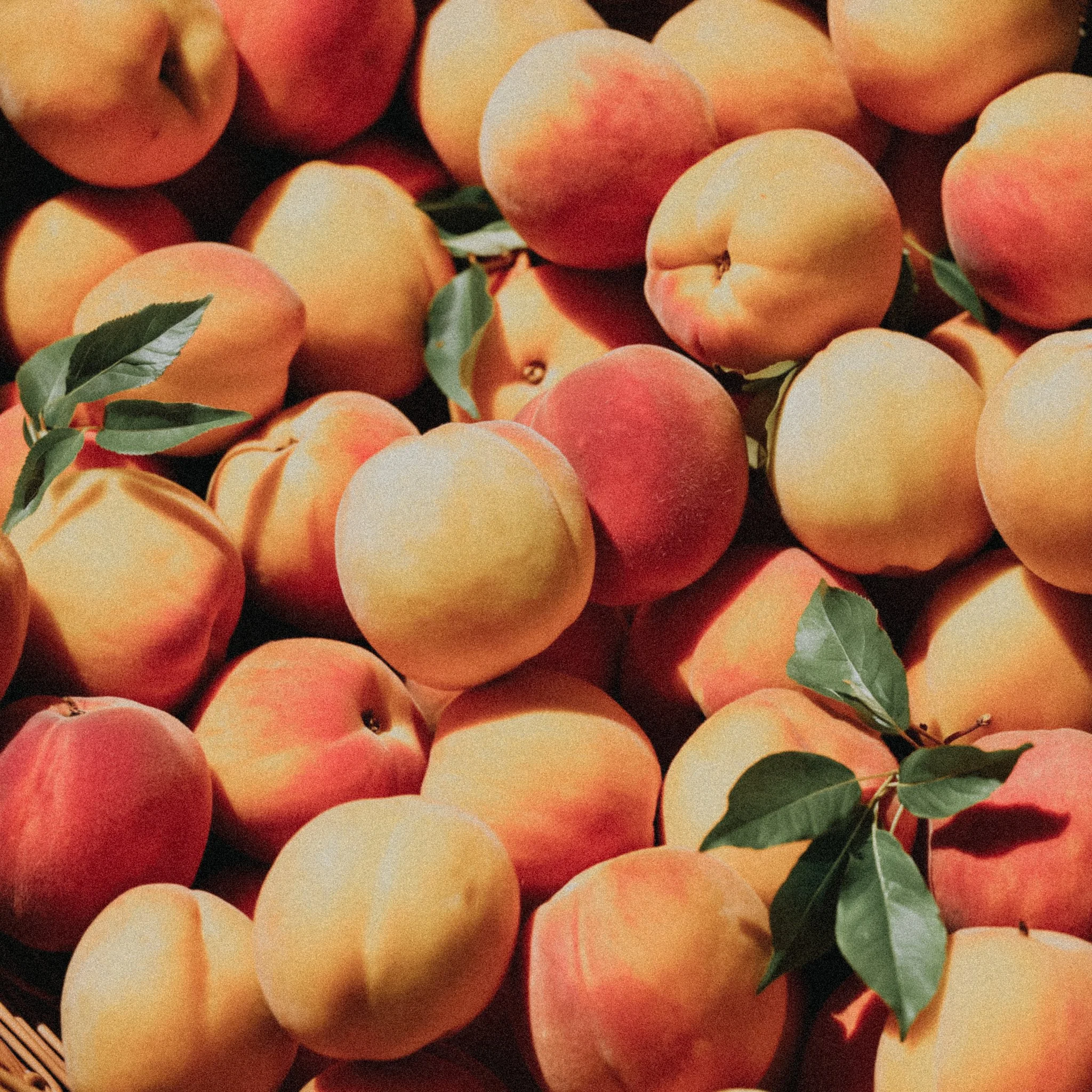 Close-up of freshly picked light-colored peaches, representing nutrition-focused content created with virtual assistant support for SEO and digital product marketing.