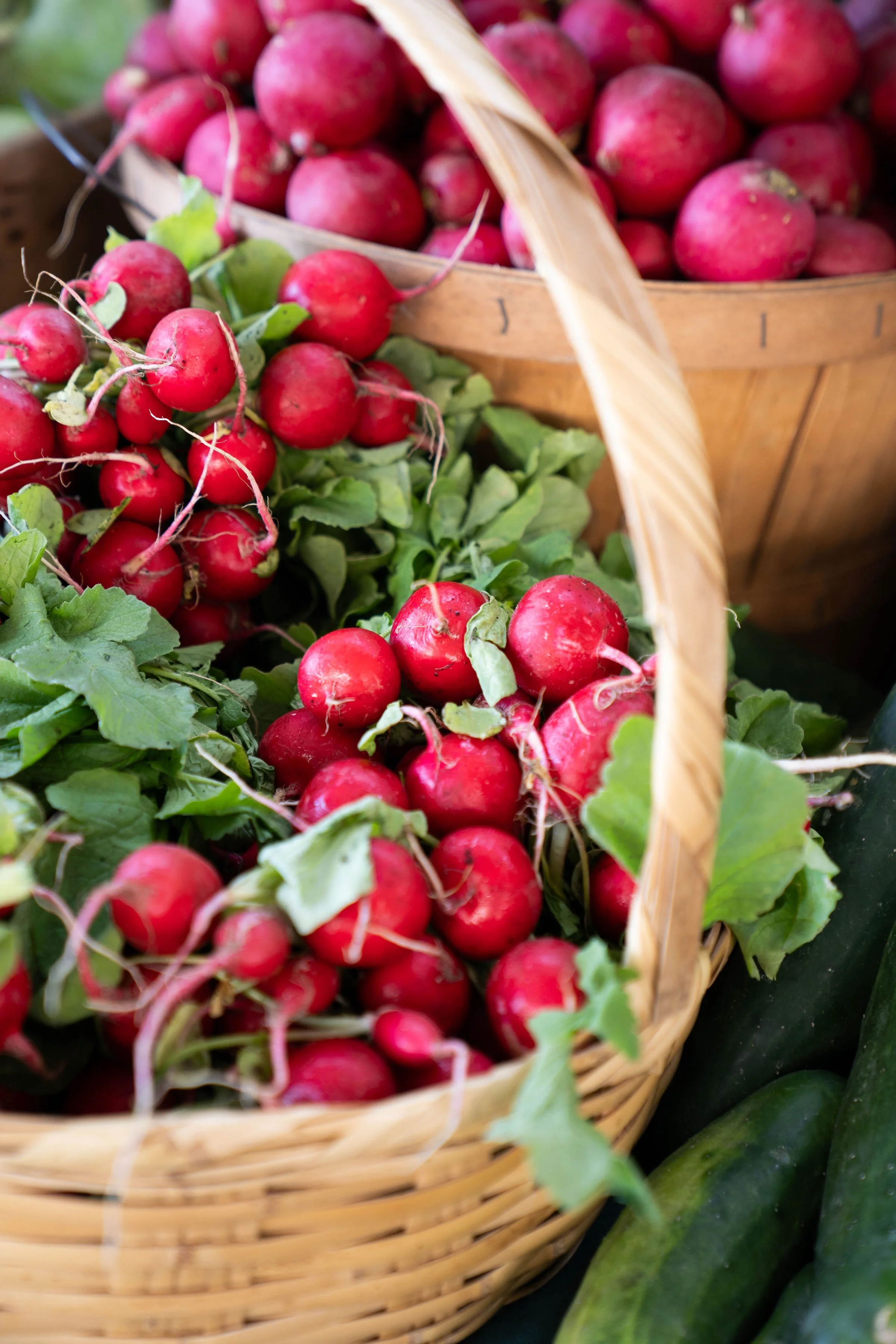 Fresh vegetables such as green bell peppers, onions, and pumpkin in a produce crate, featured on a virtual assistant website offering content marketing and digital product support for dietitians.