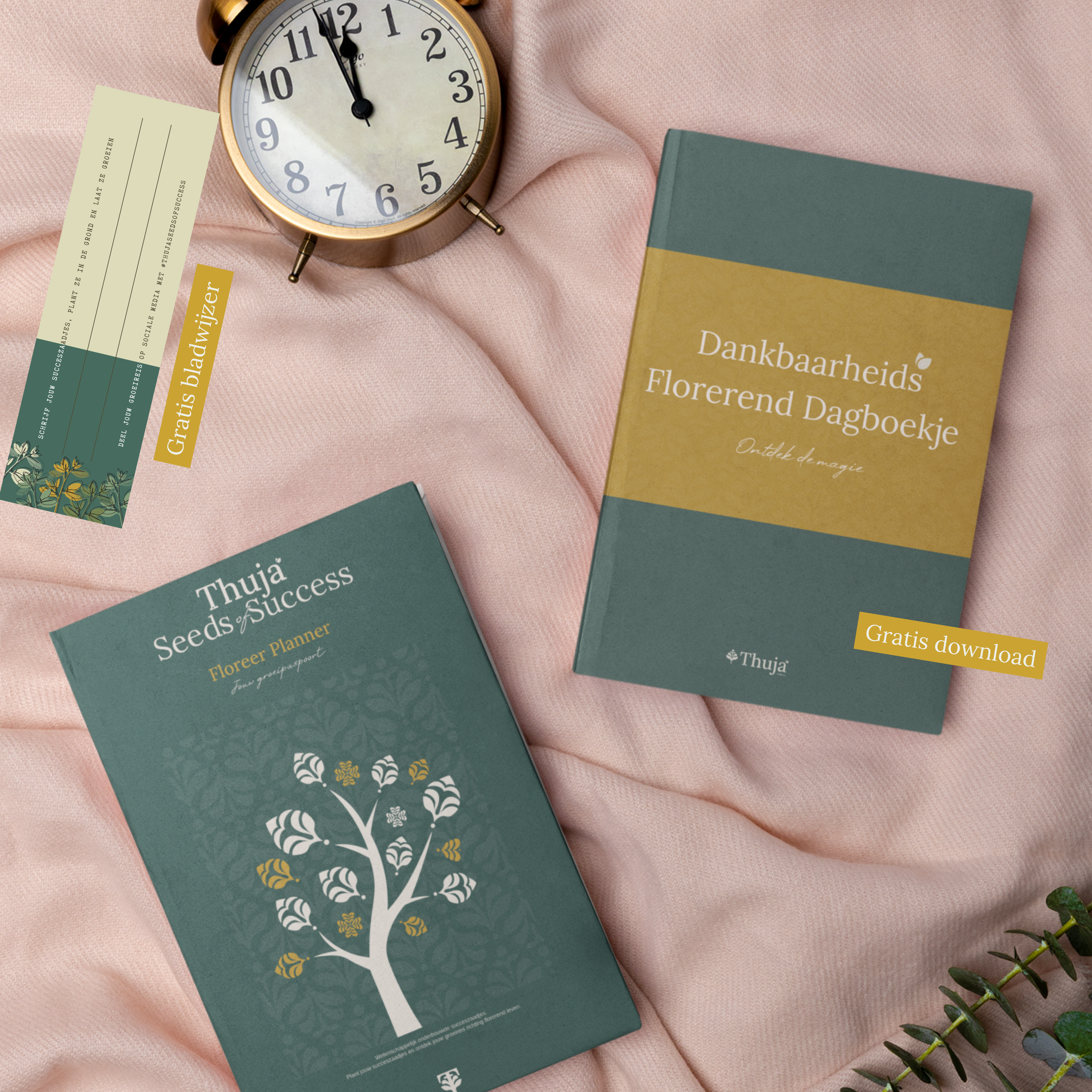 Webshop thuja-4.png