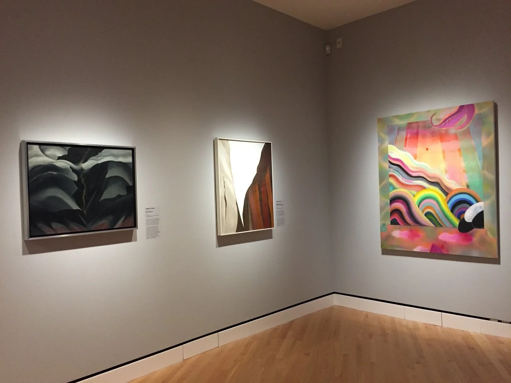   The Beyond: Georgia O'keeffe and Contemporary art   - installation view,   2018, Crystal Bridges of American Art, Arkansas 