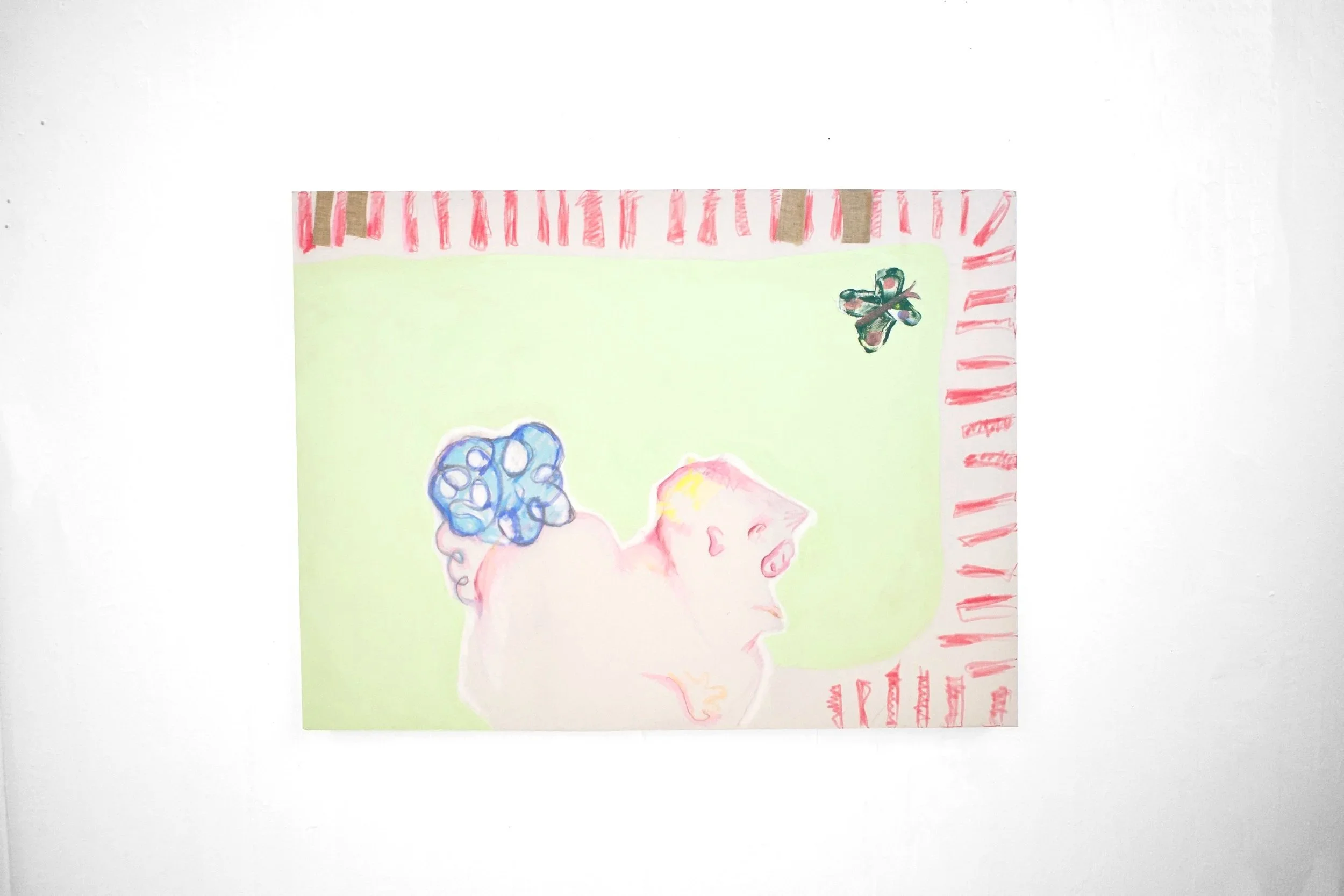 squashed+pig+white+background+2.jpg