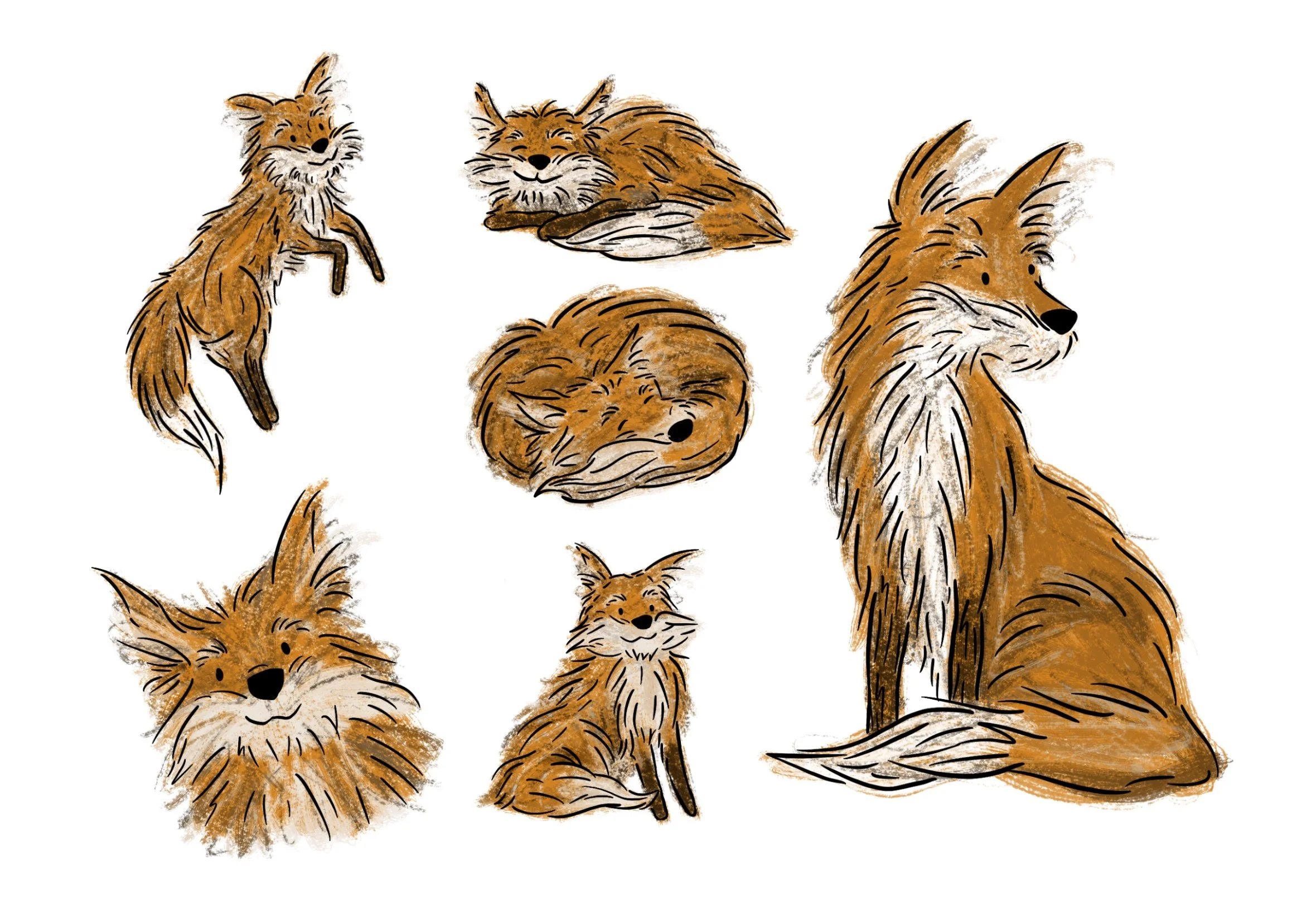 Untitled_Artwork 1 2.jpg