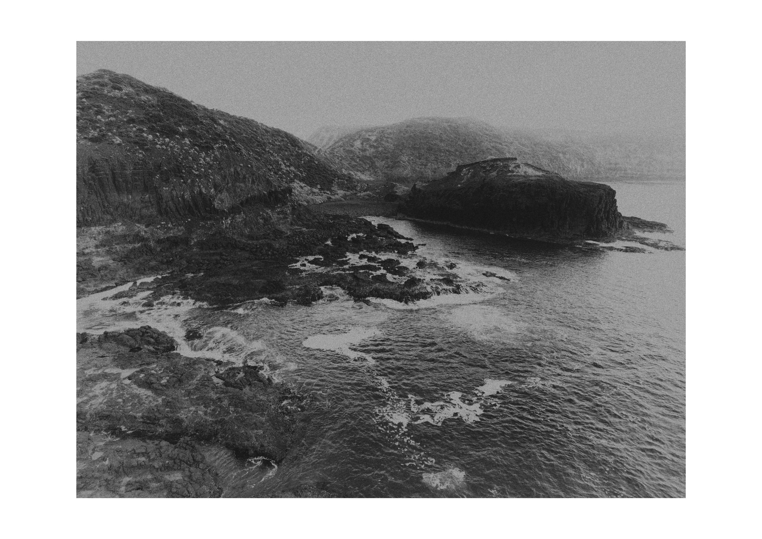 Cape Schank VIII