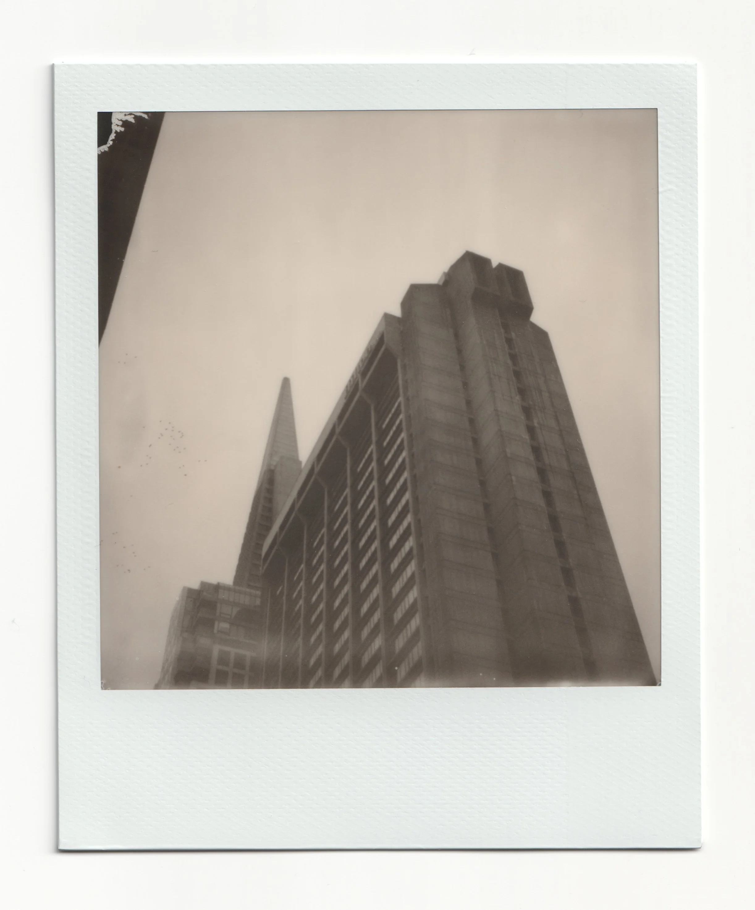 San Francisco Polaroid II
