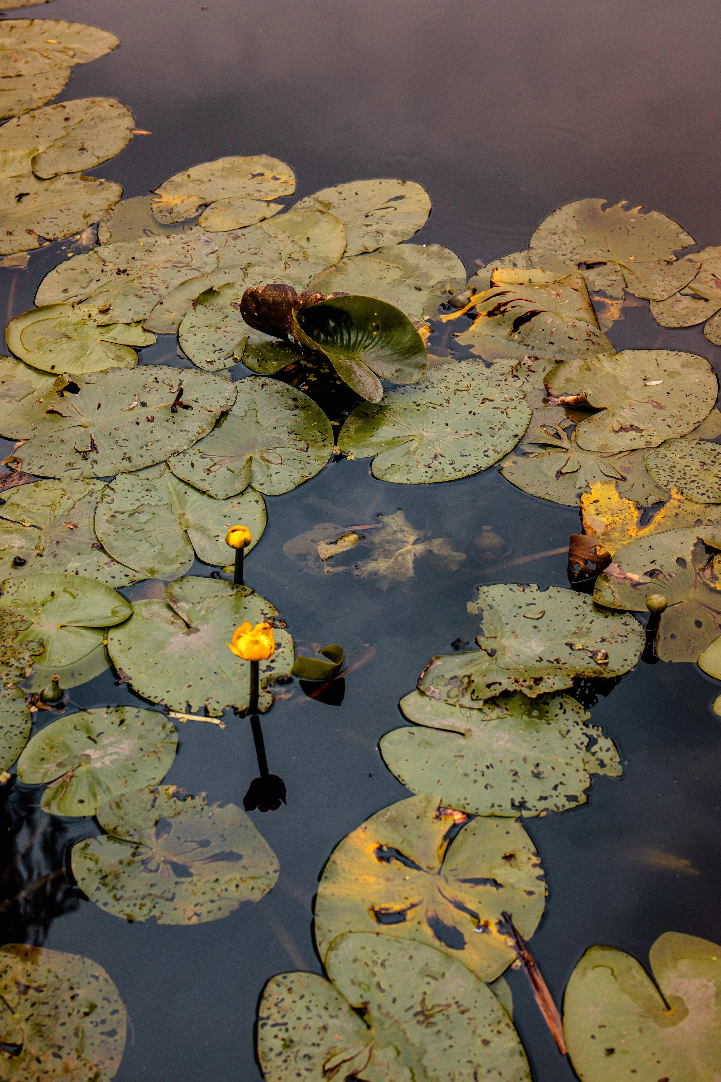 KRFOTO - 013.jpg