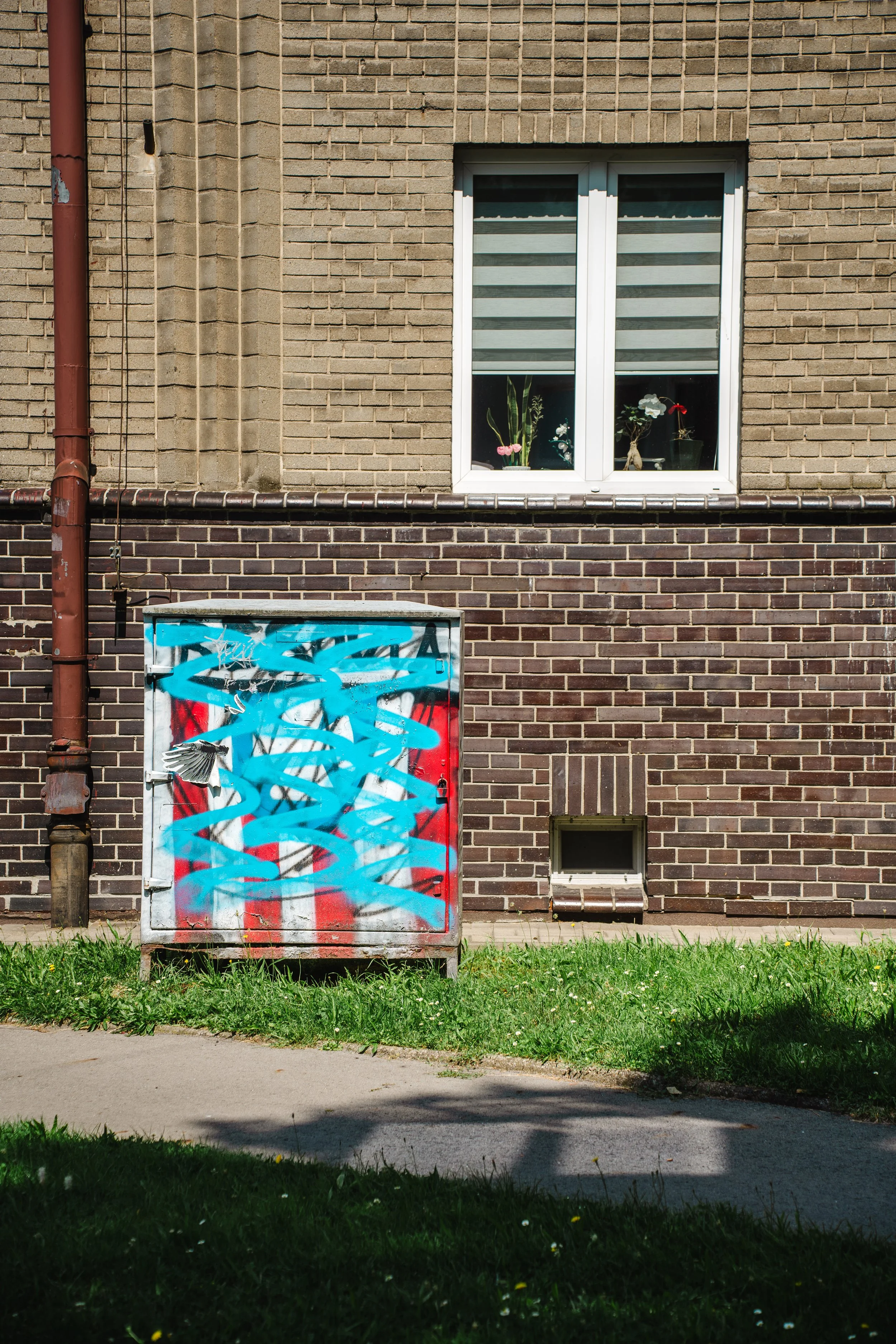 KRFOTO - 006.jpg