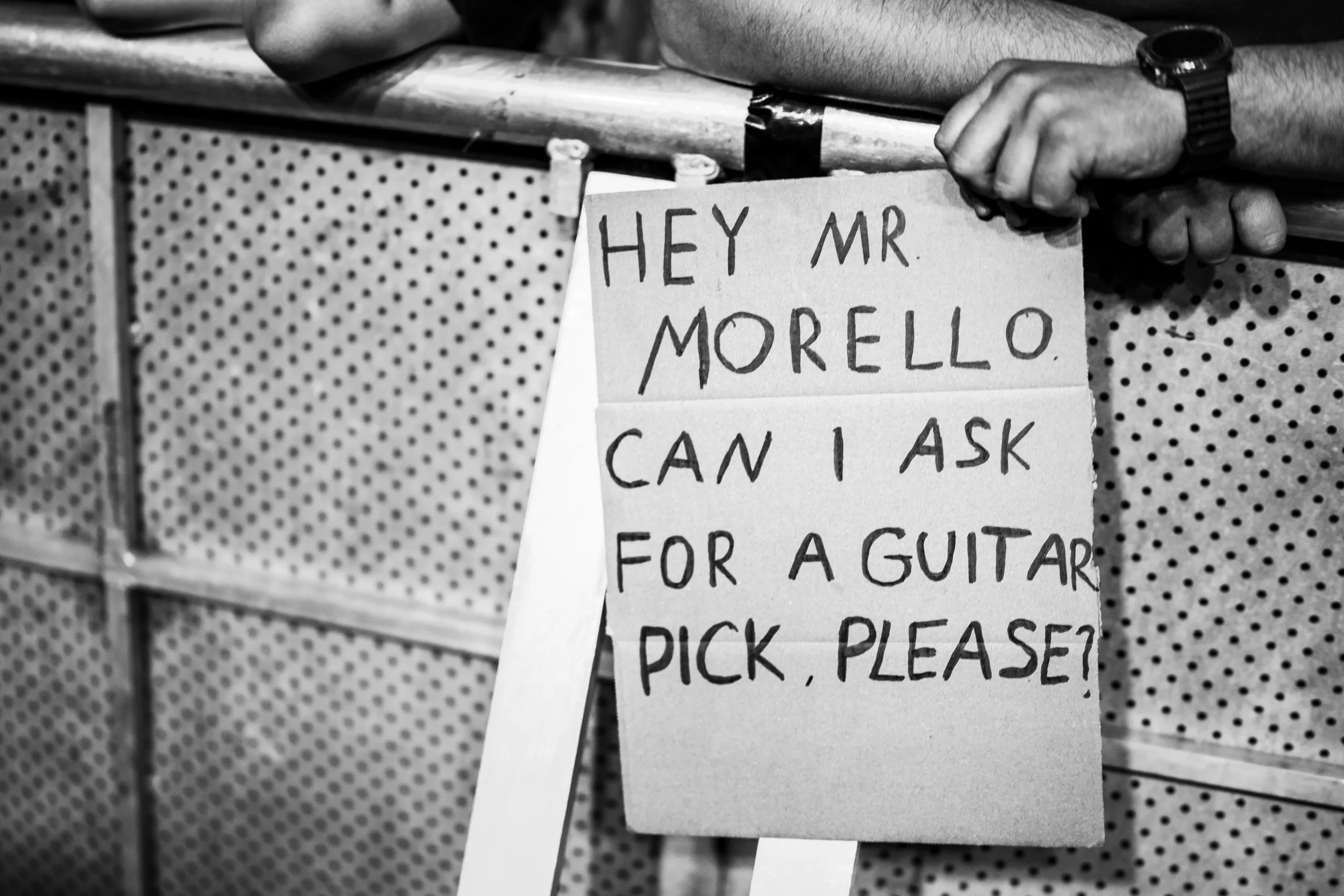 Morello-039.jpg