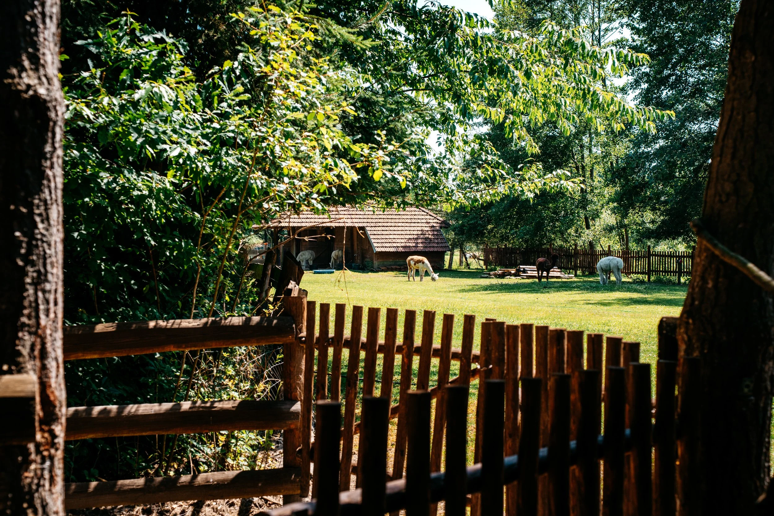 KRFoto-022.jpg