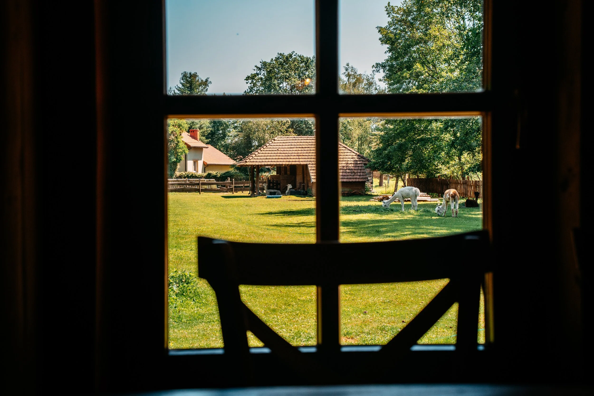 KRFoto-026.jpg