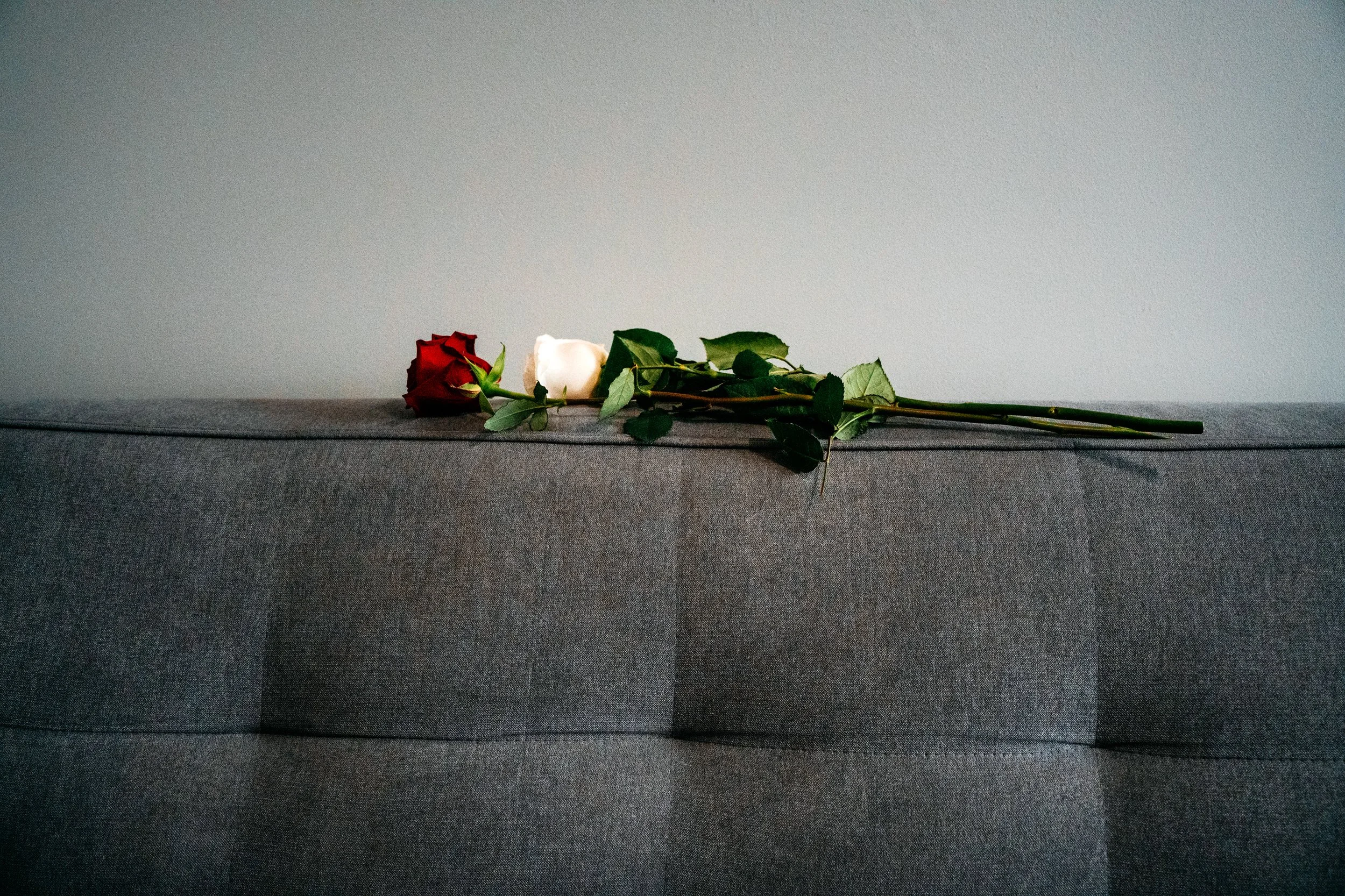 KRFoto - 031.jpg