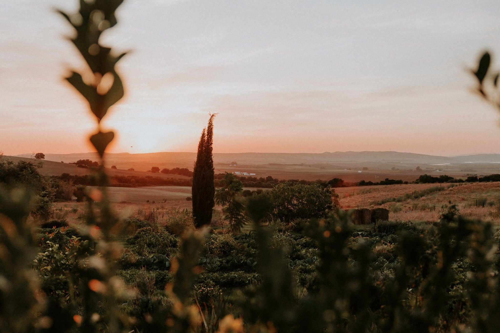 Suryalila landscape copyright Joshua Hiatt Big Box Visuals.jpg
