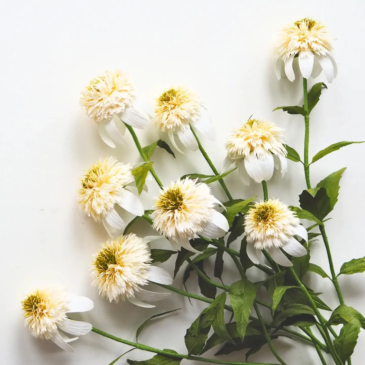 Paper Echinacea in white 🤍

These flowers took their inspiration from the &quot;White Double Delight&quot; coneflower variety ✨ Even though these flowers start blooming in summer, this particular colour palette makes me think of autumn somehow 🍃

T