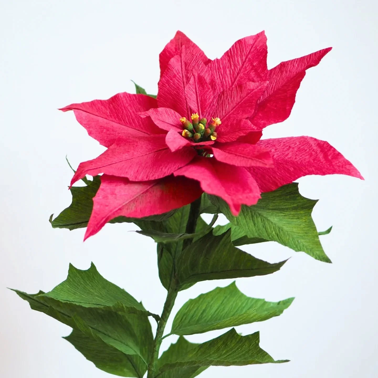 Paper Poinsettia video course coming soon ✨

I'm thrilled to finally be able to commit to a deadline for my next paper flower course - you'll be able to learn how to make crepe paper Poinsettias already in the first week of December! Just in time to 