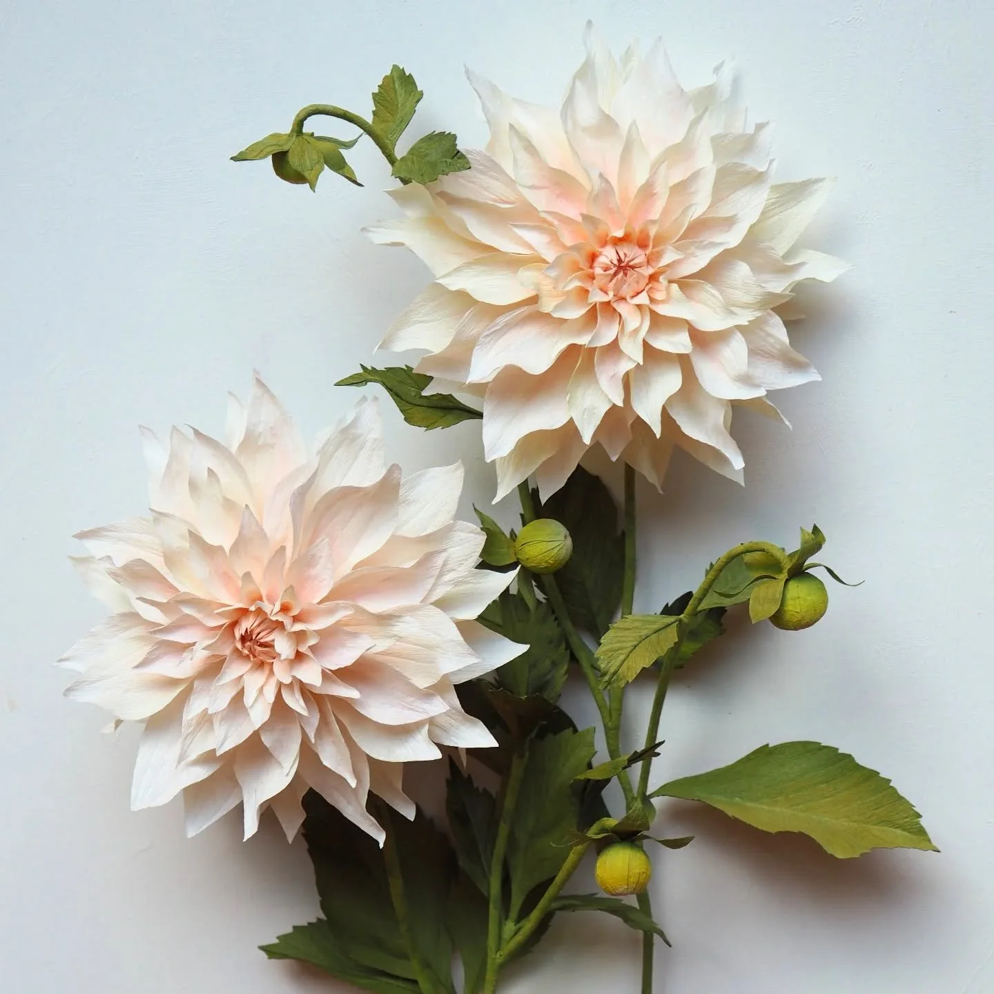 Dahlia Cafe au Lait, made from paper of course ✂️

After taking a few weeks of break I'm back at my paper garden desk, creating new flowers, working on the next course (I'll share a bit more soon 🤫) and trying to understand where is my creative jour