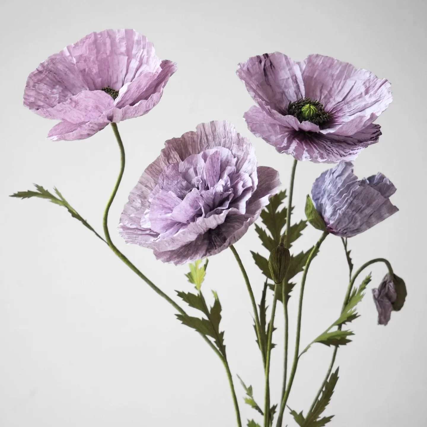 Amazing Grey Poppy, upcoming video course ✂️

I'm excited to share with you a few examples of the Amazing Grey Shirley Poppies that you will be able to learn to make with me starting next month ✨ 

The poppies in this post are all done in lighter gre