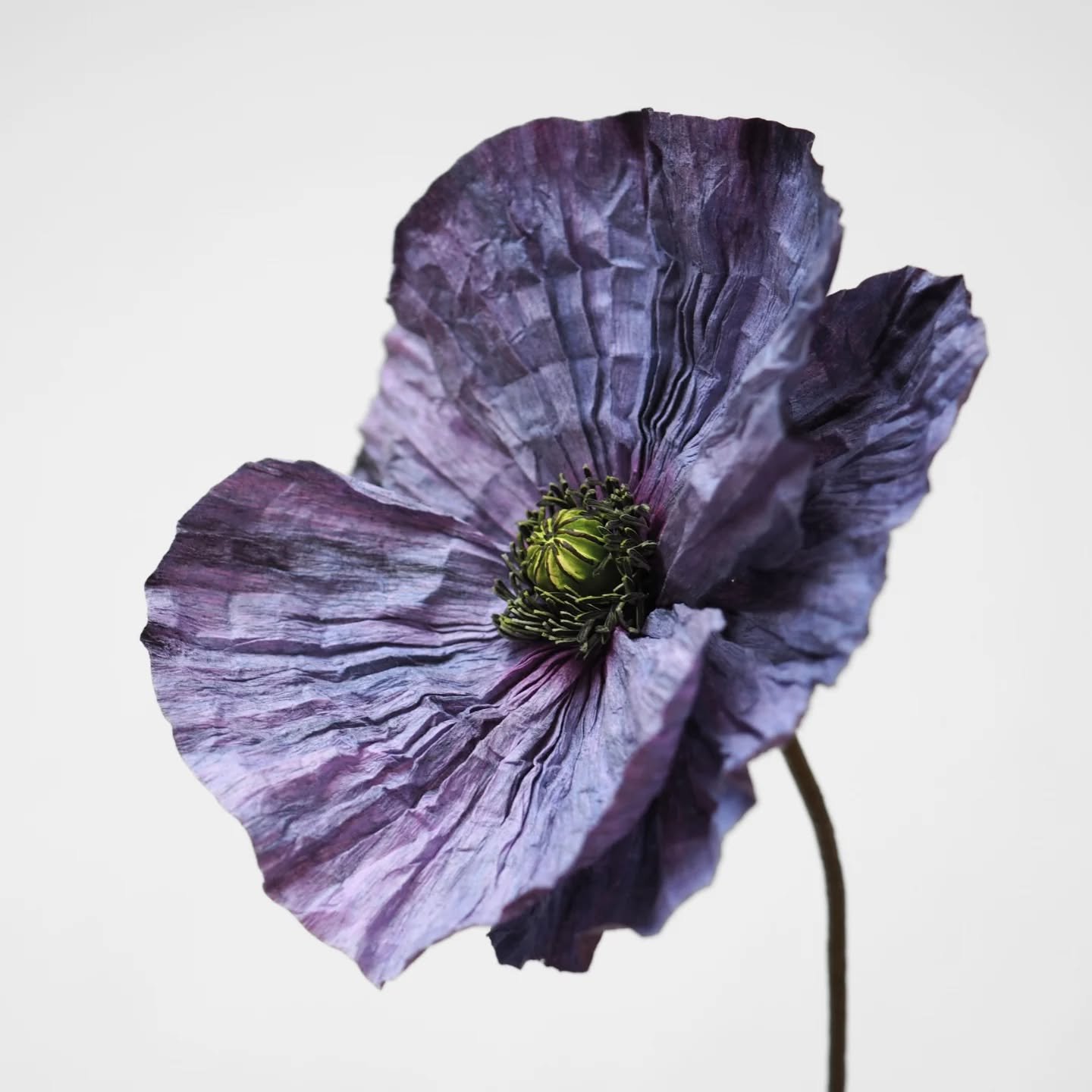 Amazing Grey Poppy - meet the darker shades from the upcoming video course ✨ 

Coming out soon ⏱️

#amazinggreypoppy #paperflowercourse #paperpoppies #crepepaperart #paperbotanicals