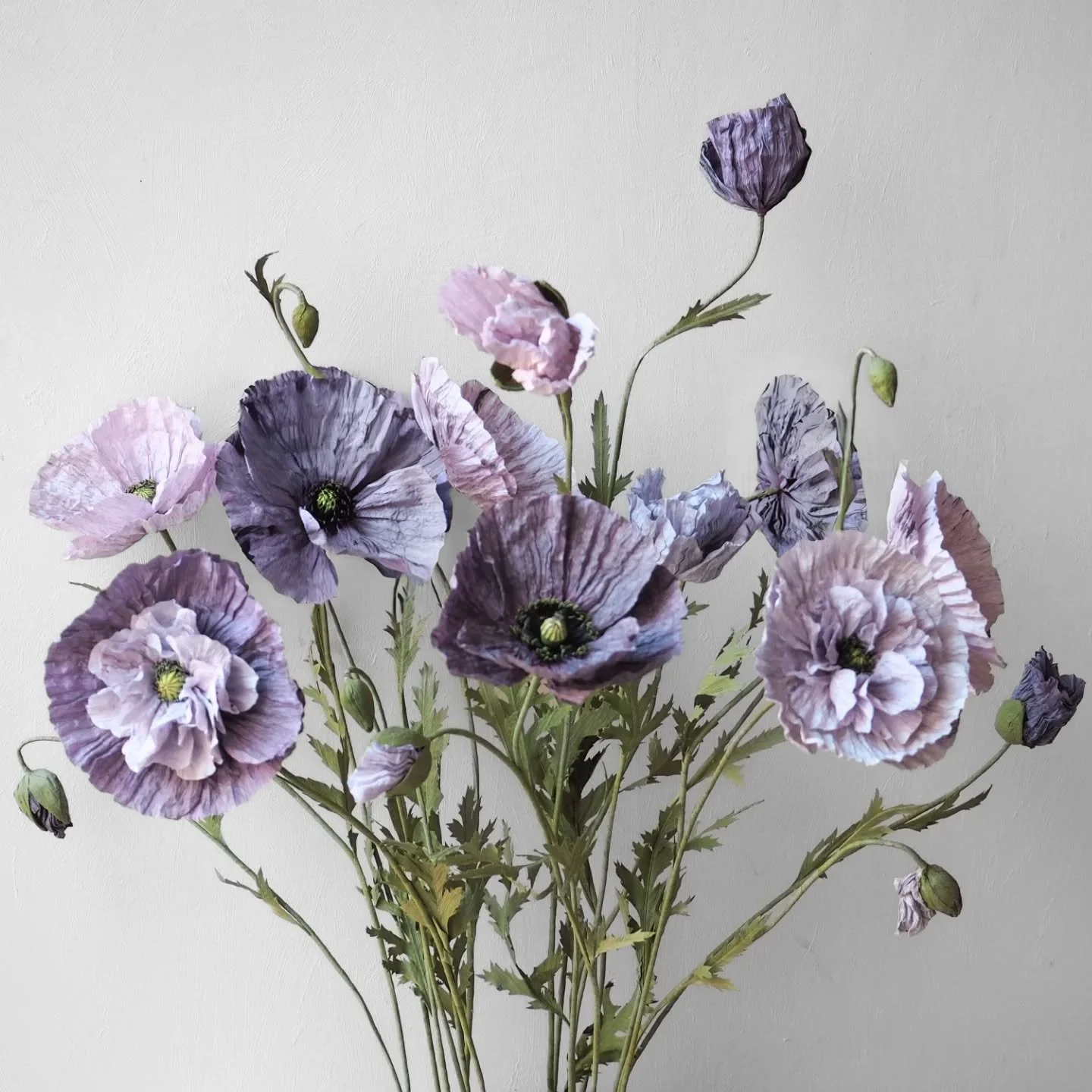 Amazing Grey Poppy - new video course is now live! 

It's a detailed paper flower course that guides you step by step through the process of creating a stunning Shirley poppy in a variety of magical shades. As a special feature of the course you will