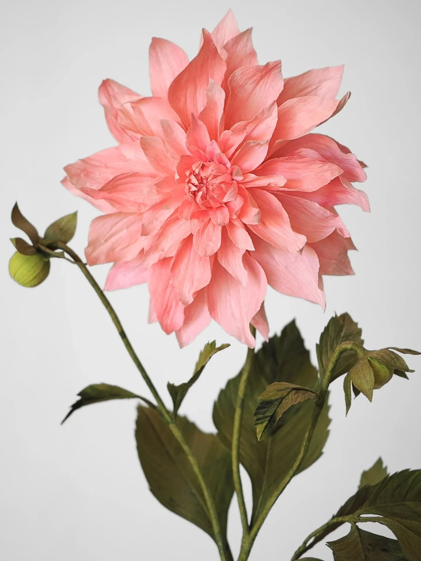 More paper Dahlias to join the collection ✂️ 

April has been really busy so far with everything but paper flowers, but that's life right now, hence I've been quiet around here :)

Nevertheless, I have 2 updates to share with you:

✨I'm working on se