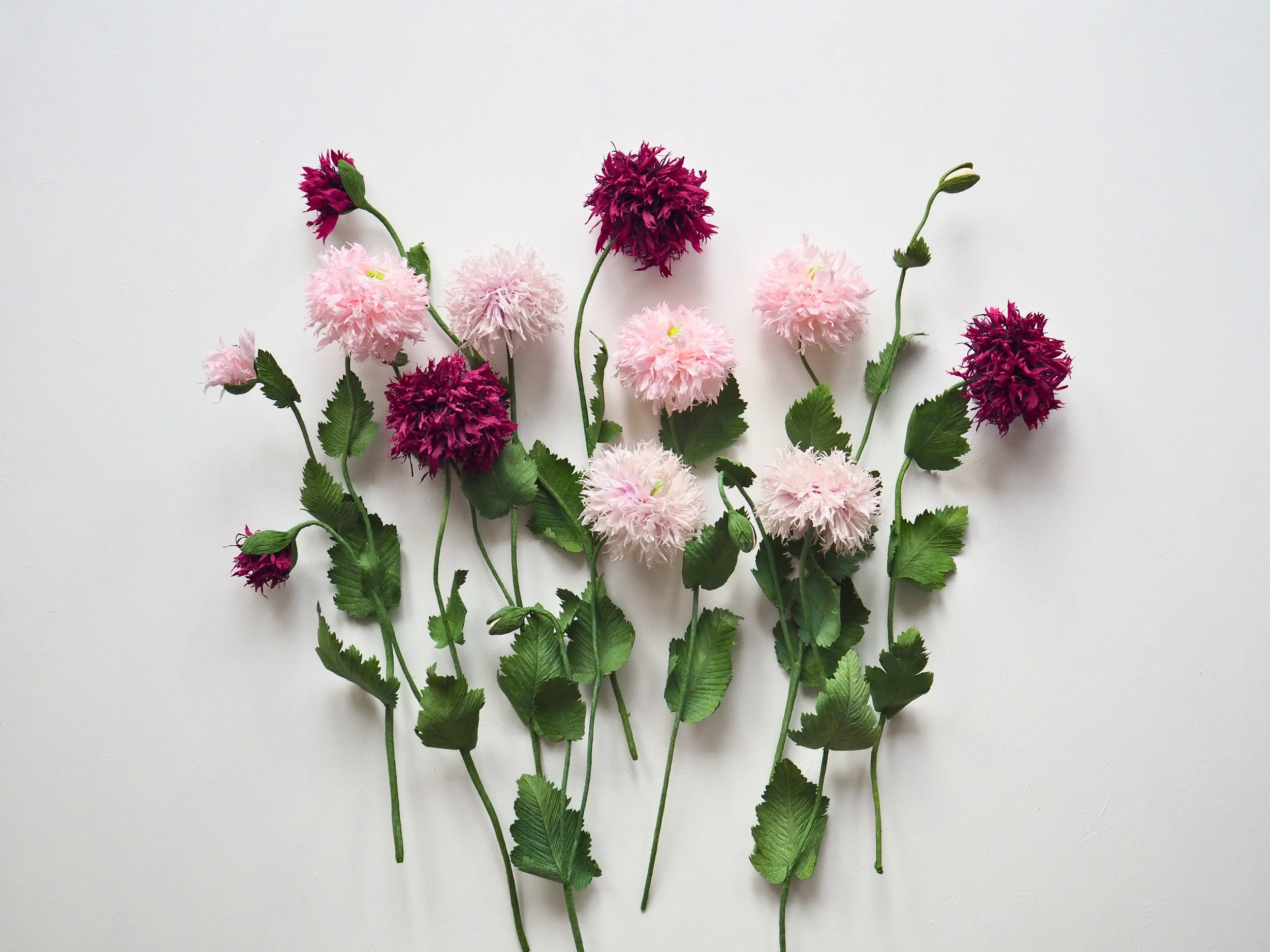 Assorted pink and purple flowers arranged on a plain white background.