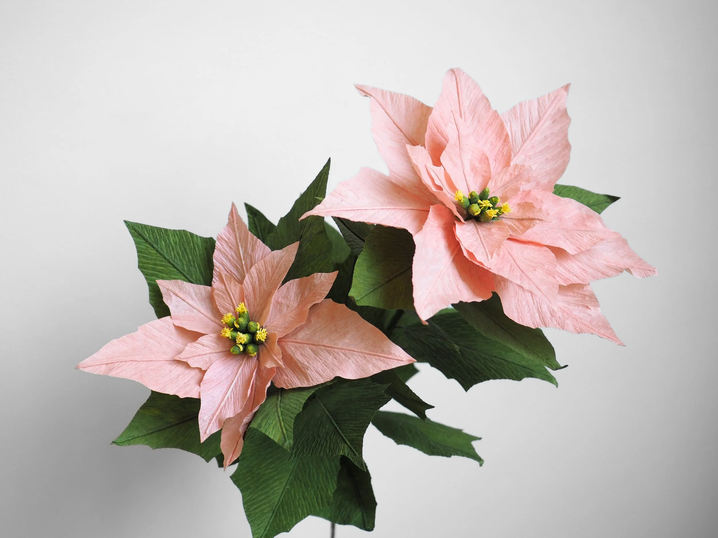 PB220217 - Edited (1).jpg