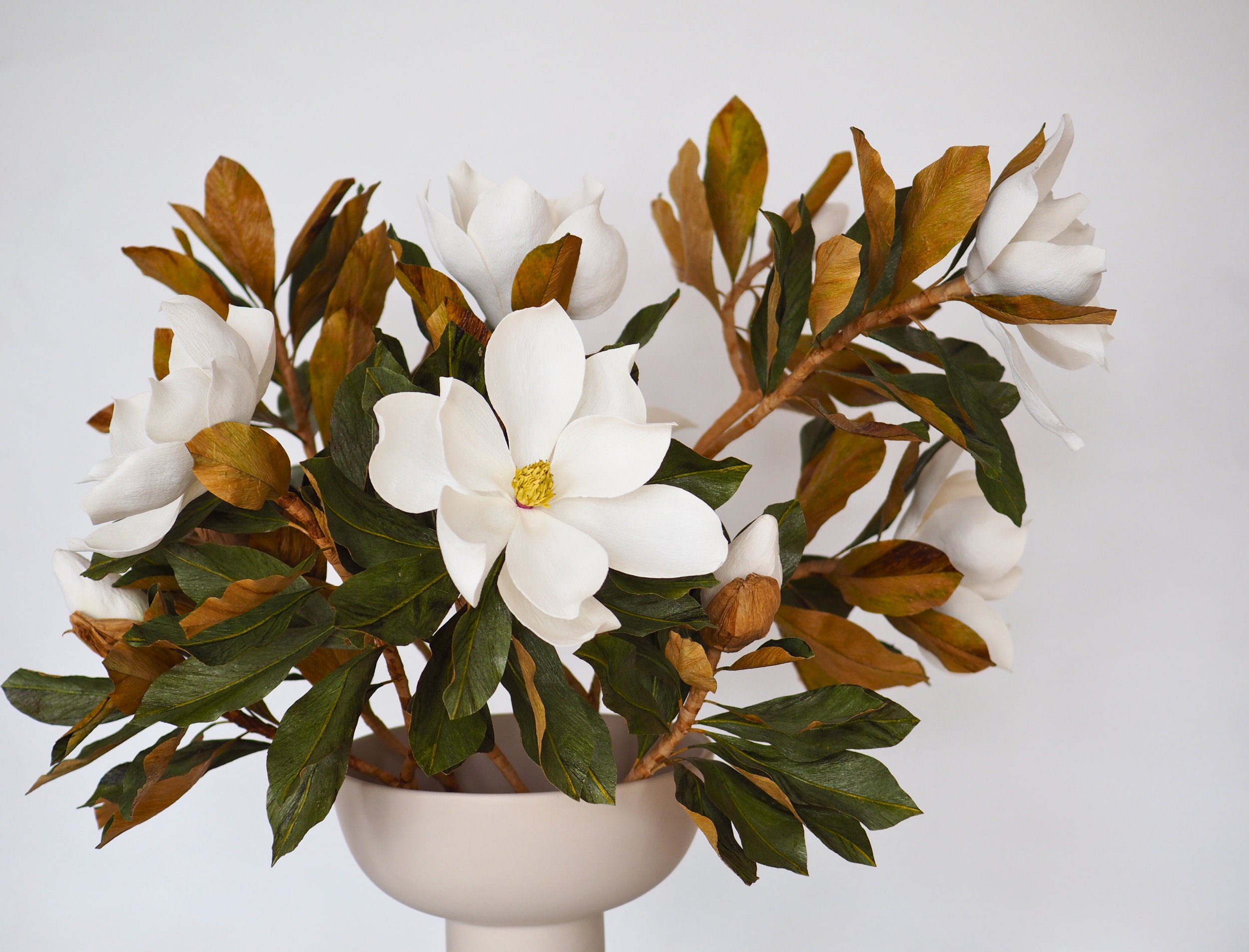 White magnolia flowers and brown and green leaves in a white vase against a plain background.